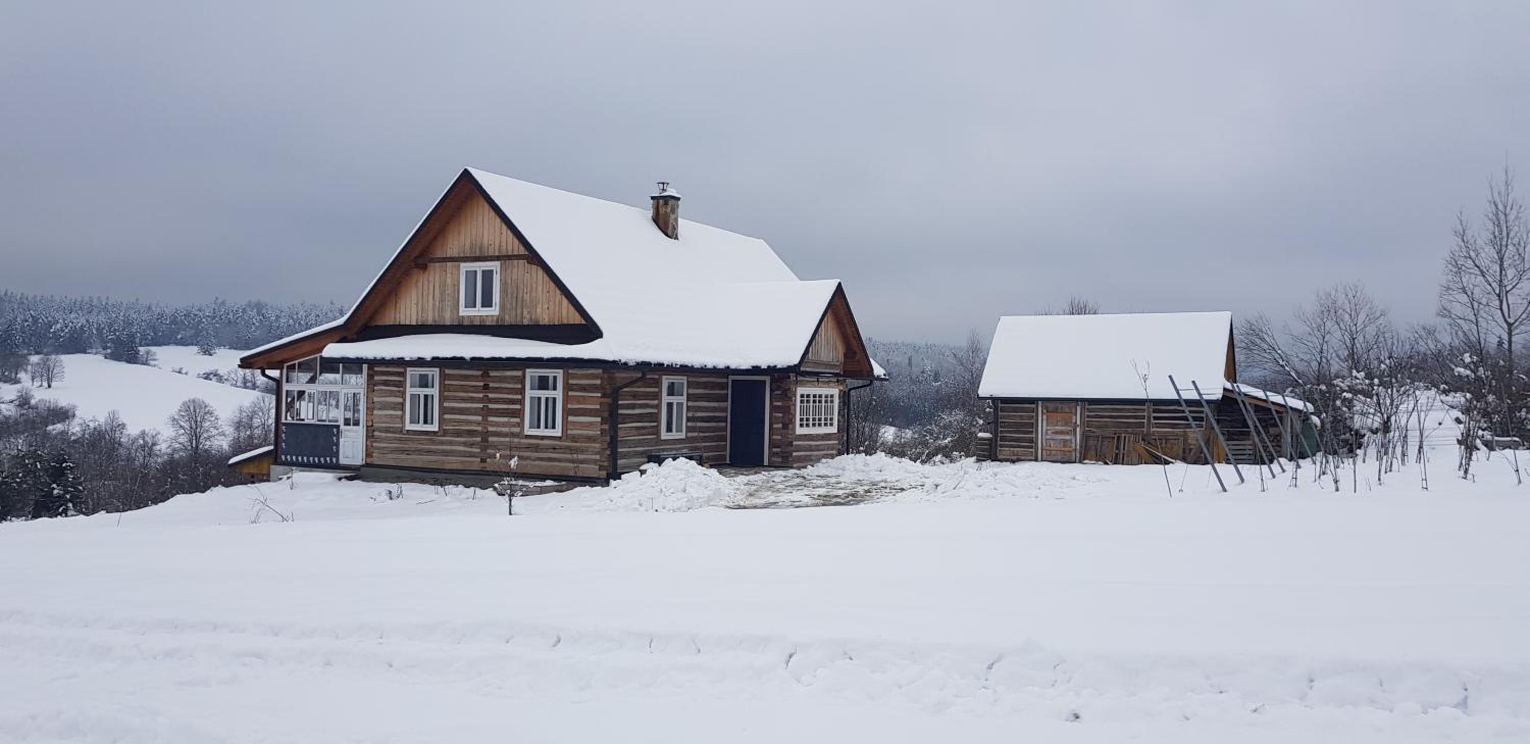 Photo 23