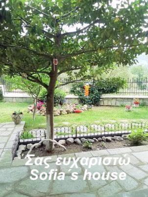 Photo 24