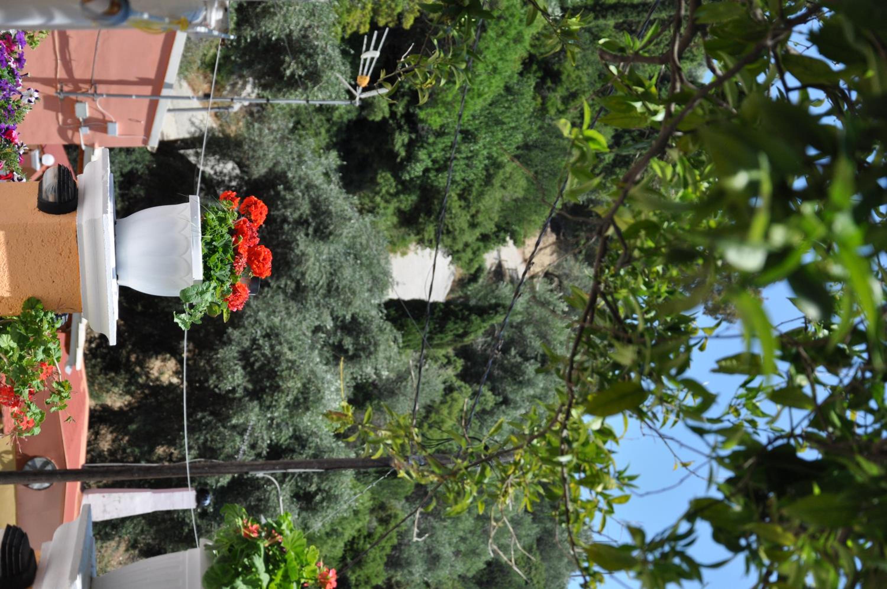 Ponte Rossa Apartments photo 3