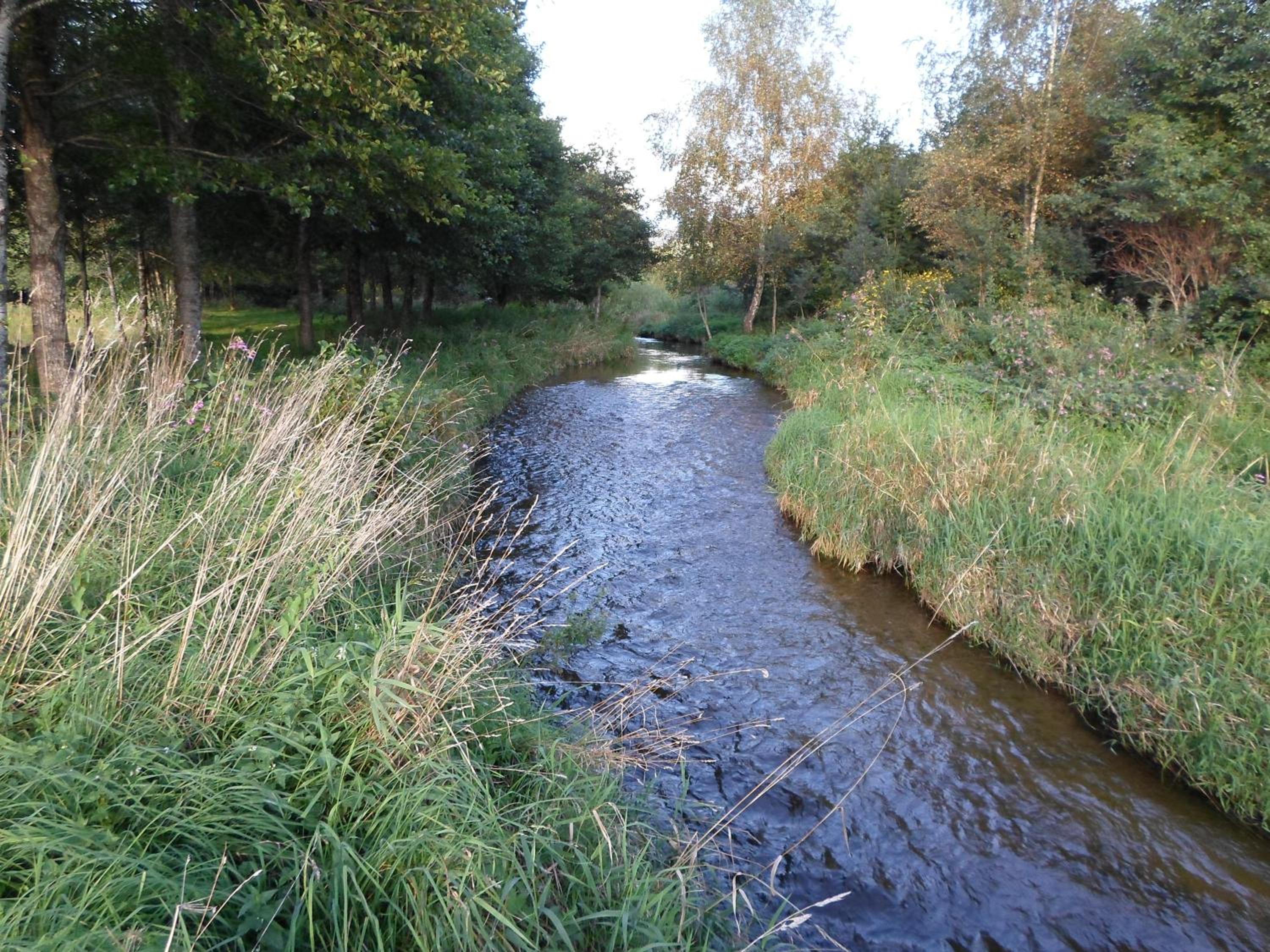 Photo 28