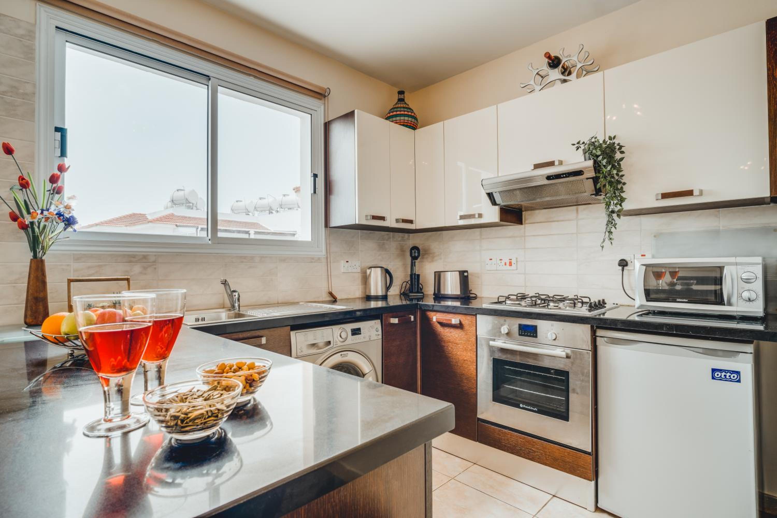 Apartment White Rose