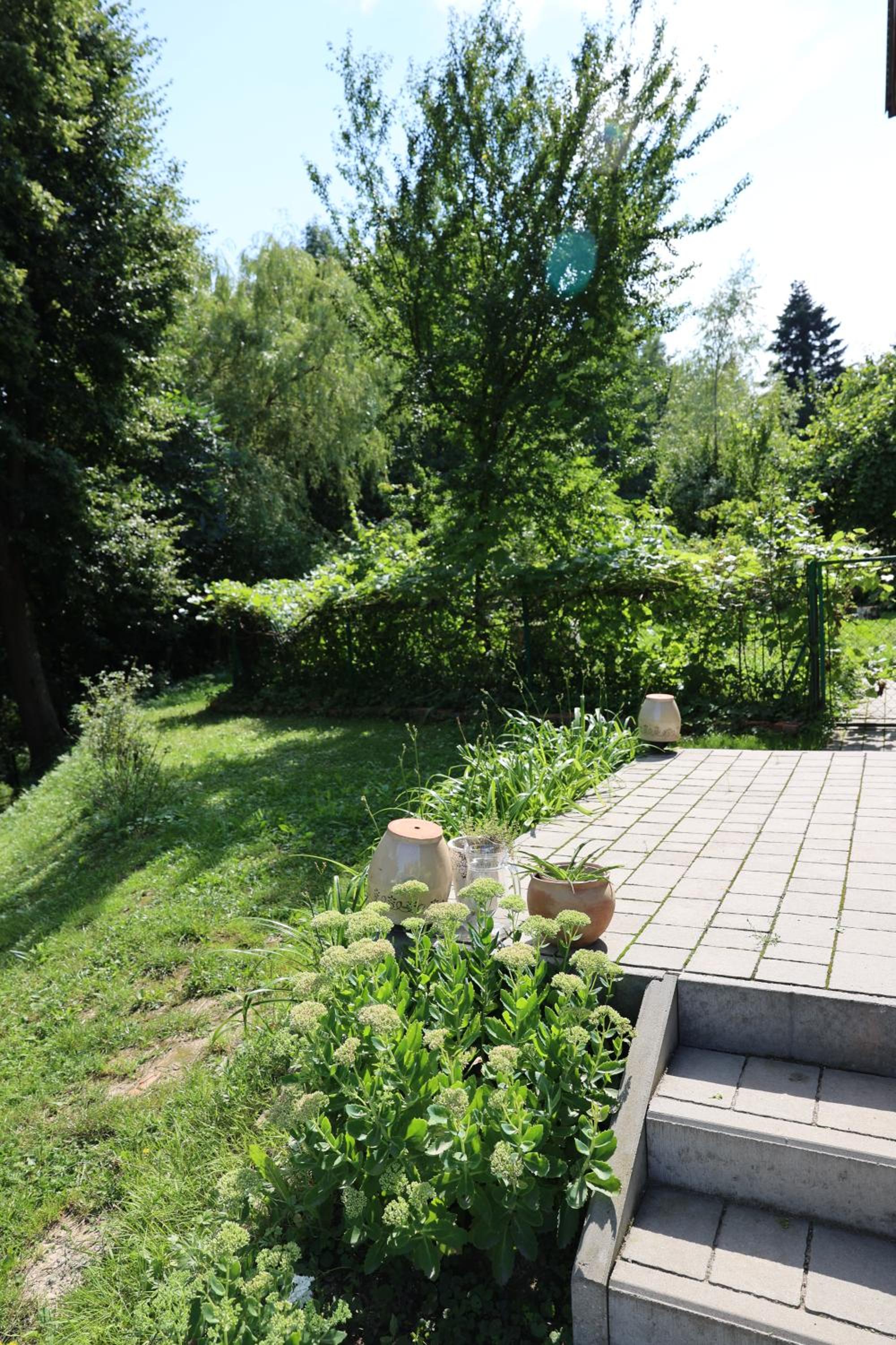 Photo 39