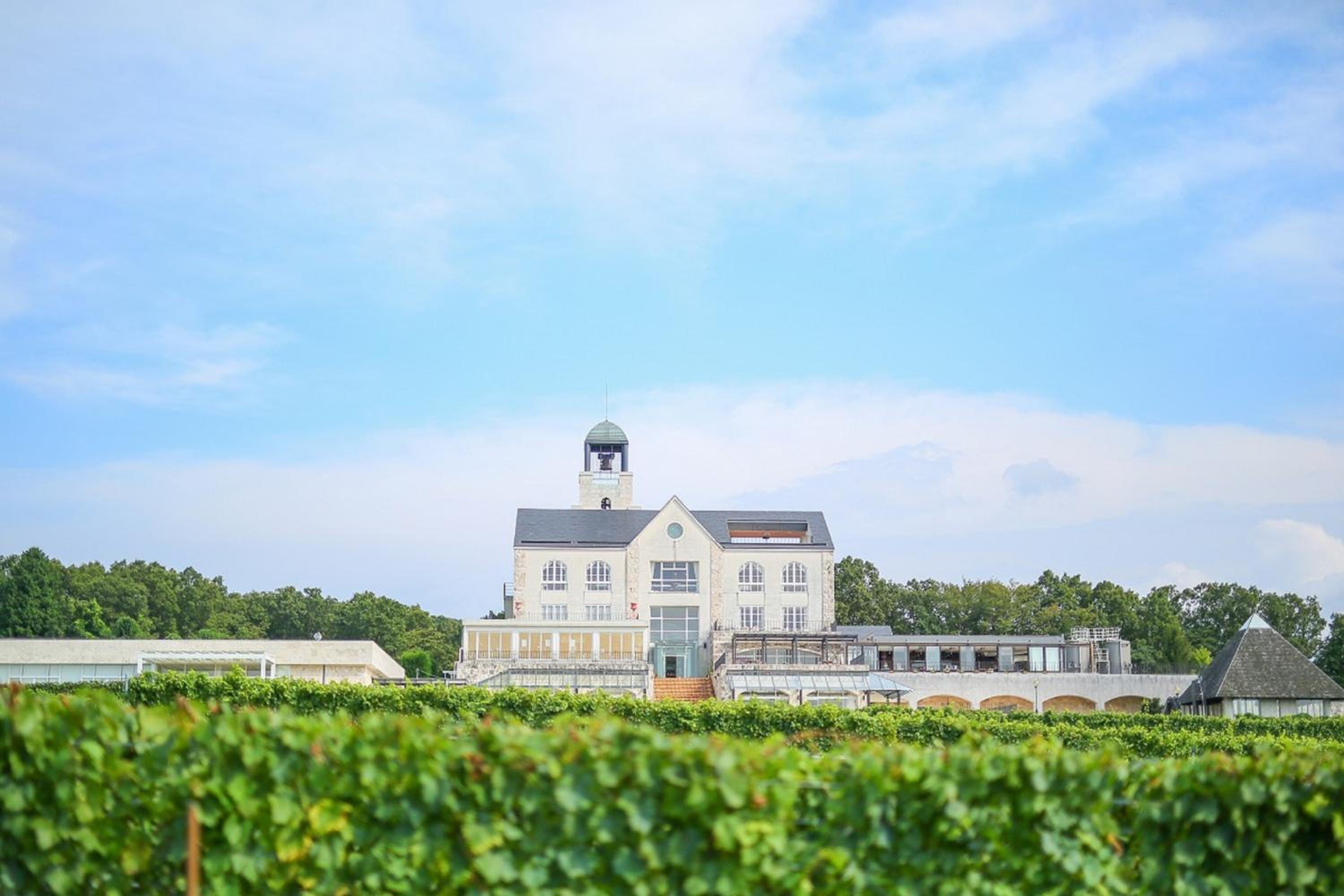 Hotel Winery Hill