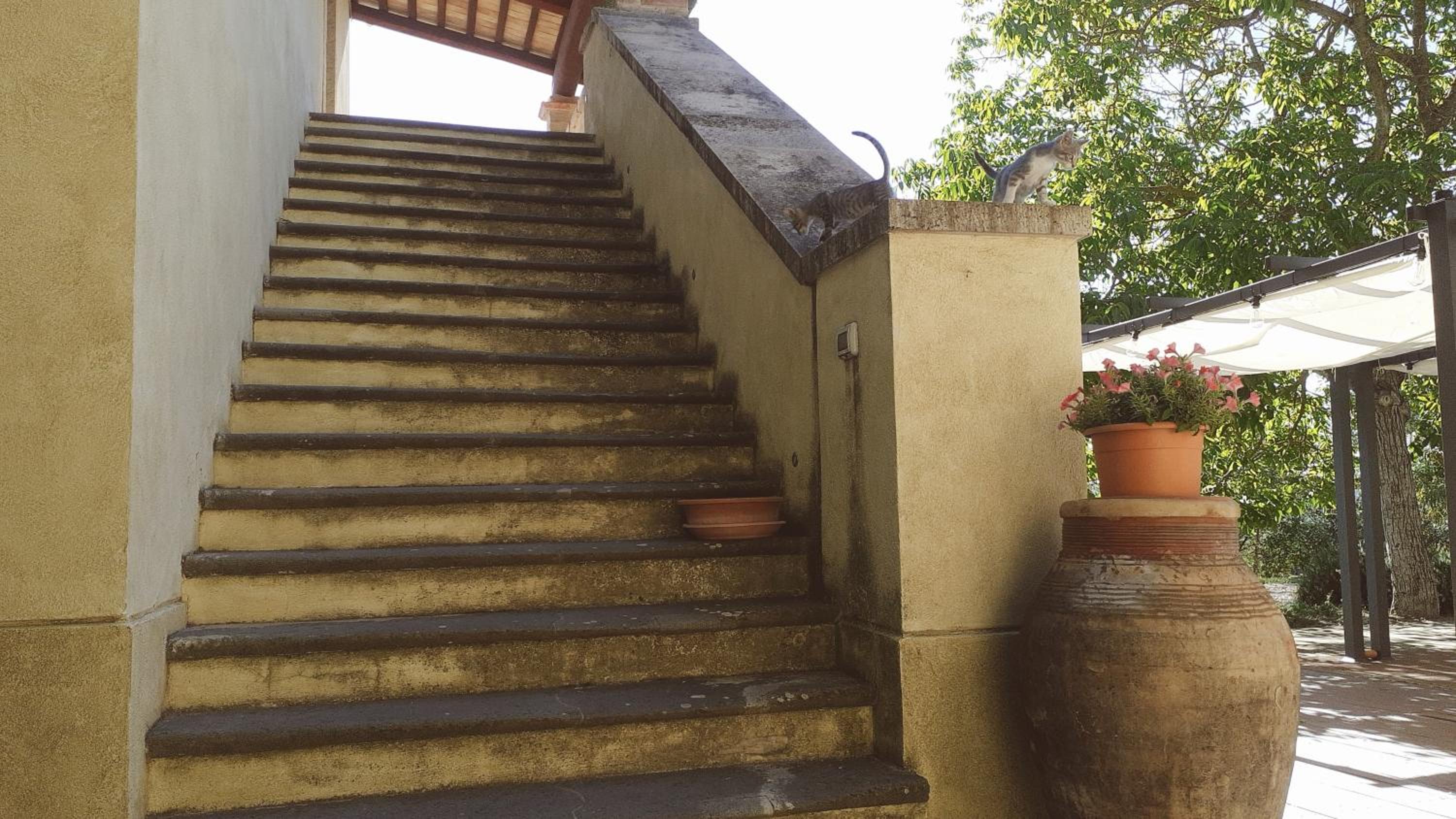 Locanda Monte Pimpio