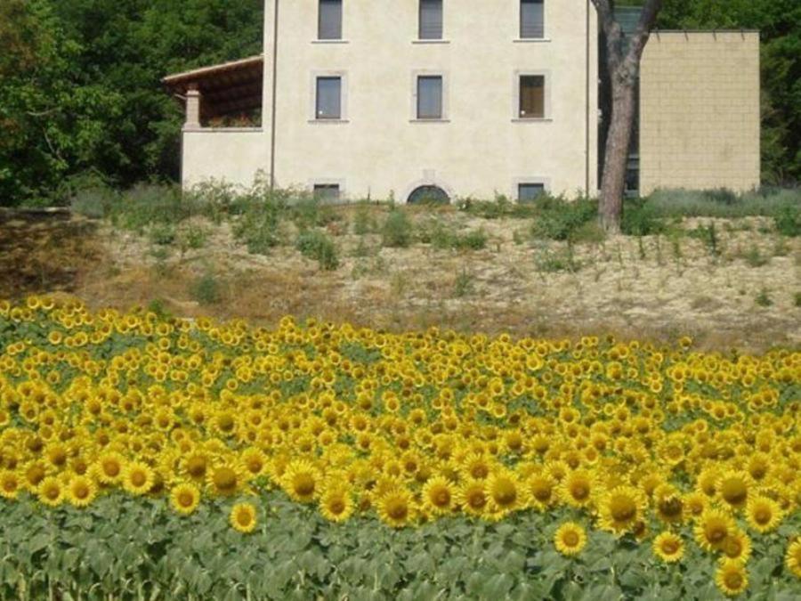 Locanda Monte Pimpio