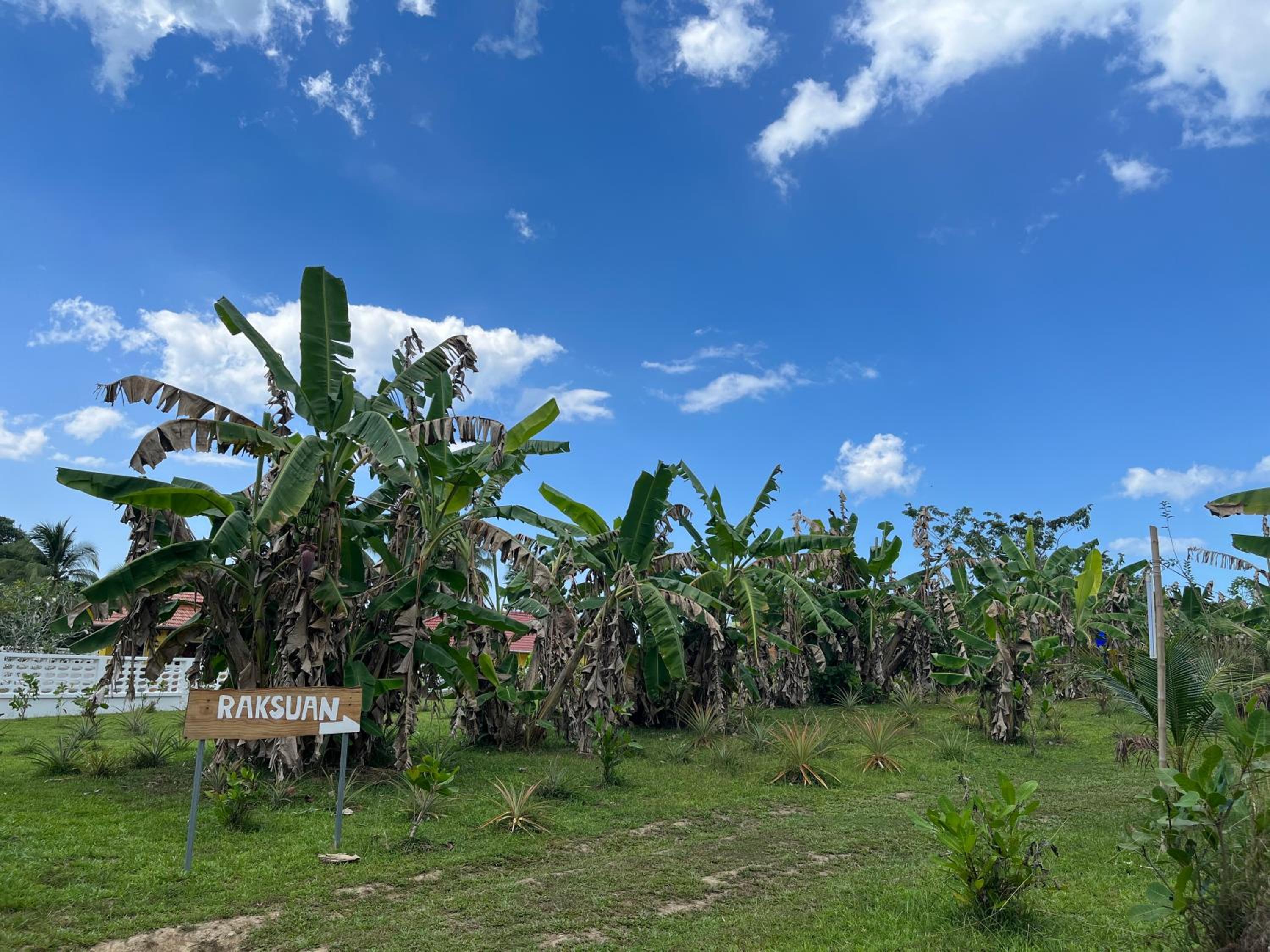 Rak Suan Homestay