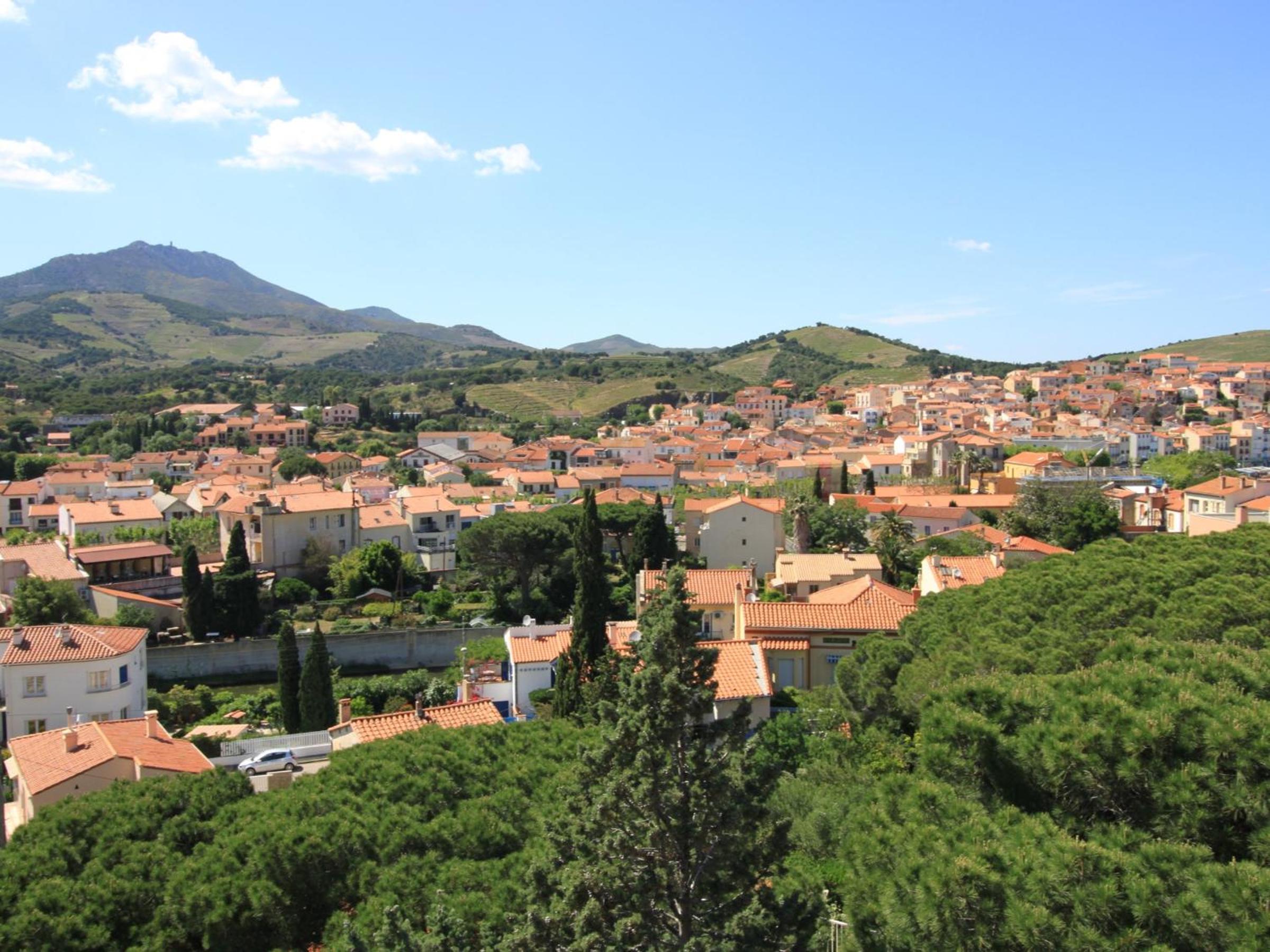 Appartement Banyuls-sur-Mer, 3 pièces, 4 personnes - FR-1-309-88