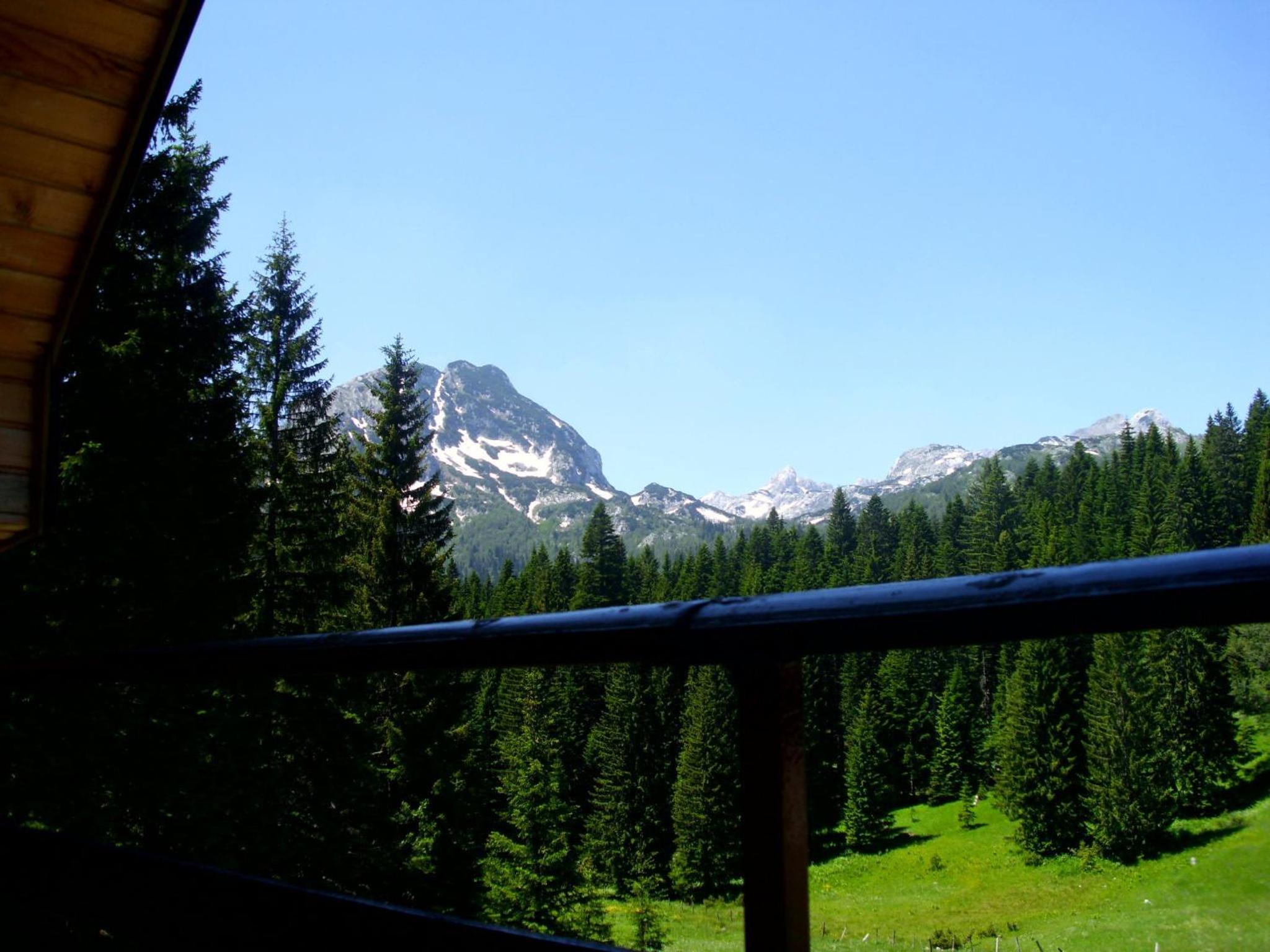 Photo 47
