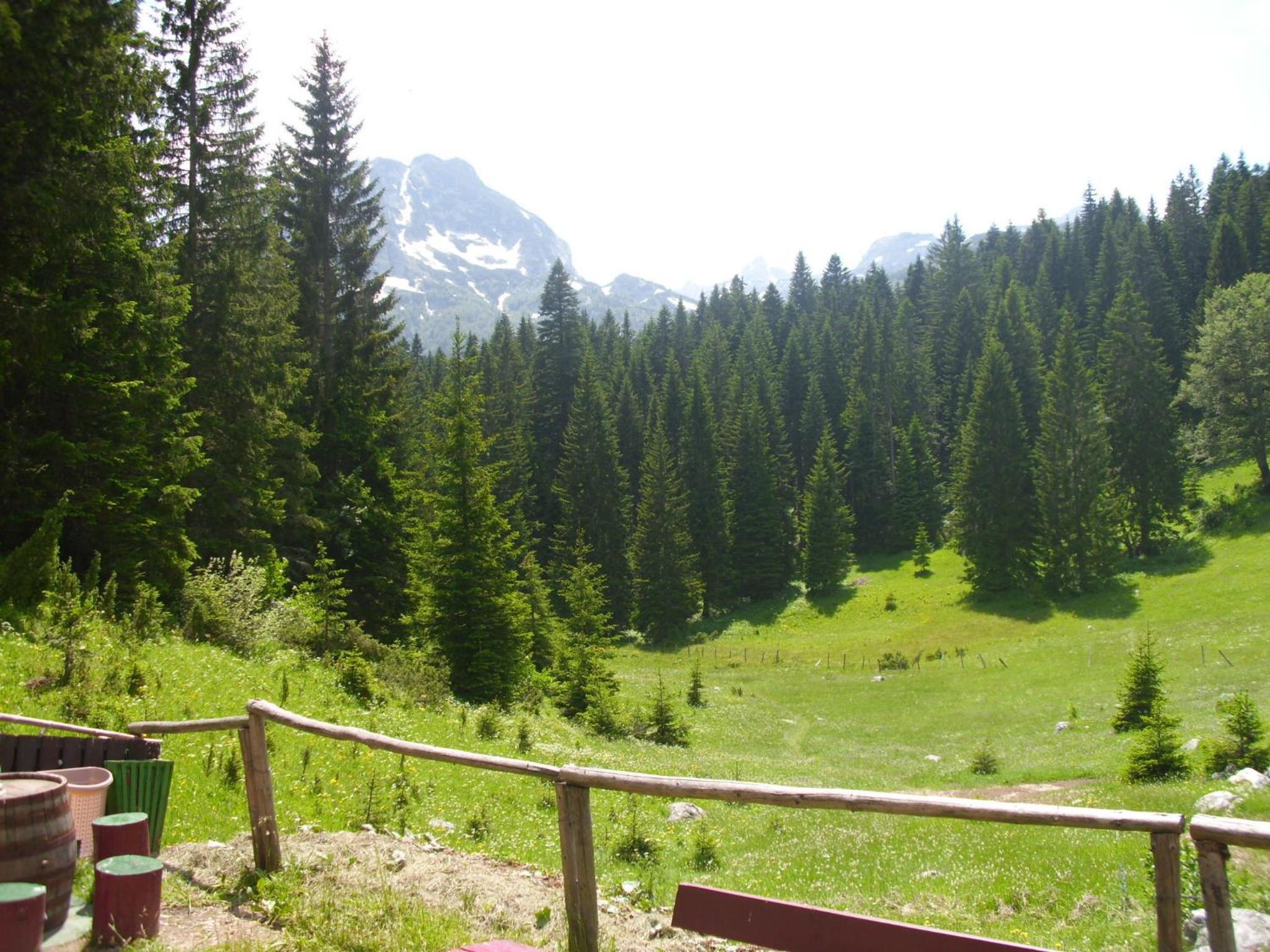 Photo 24