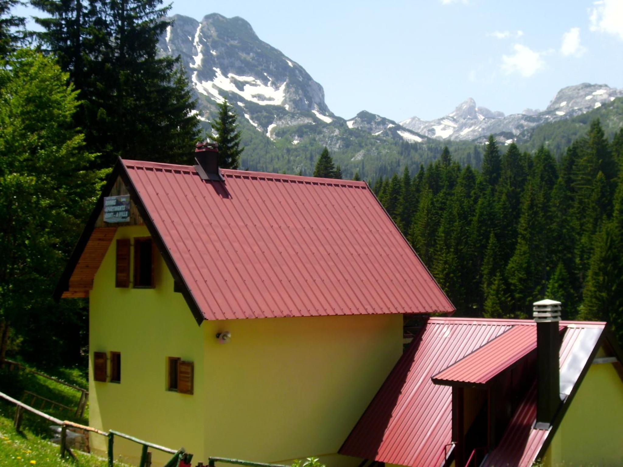 Photo 25