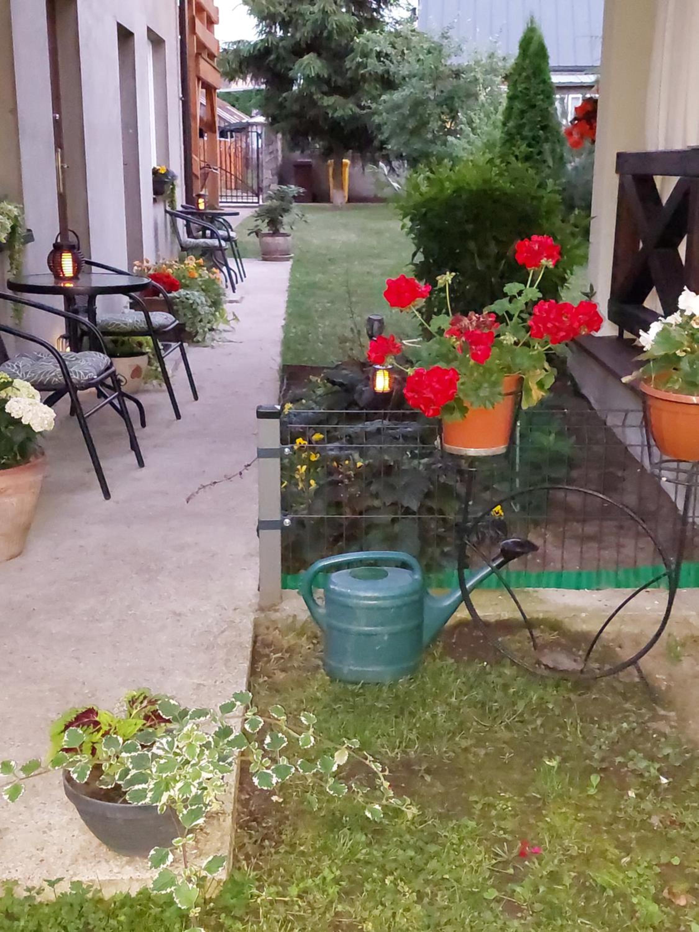 Photo 41