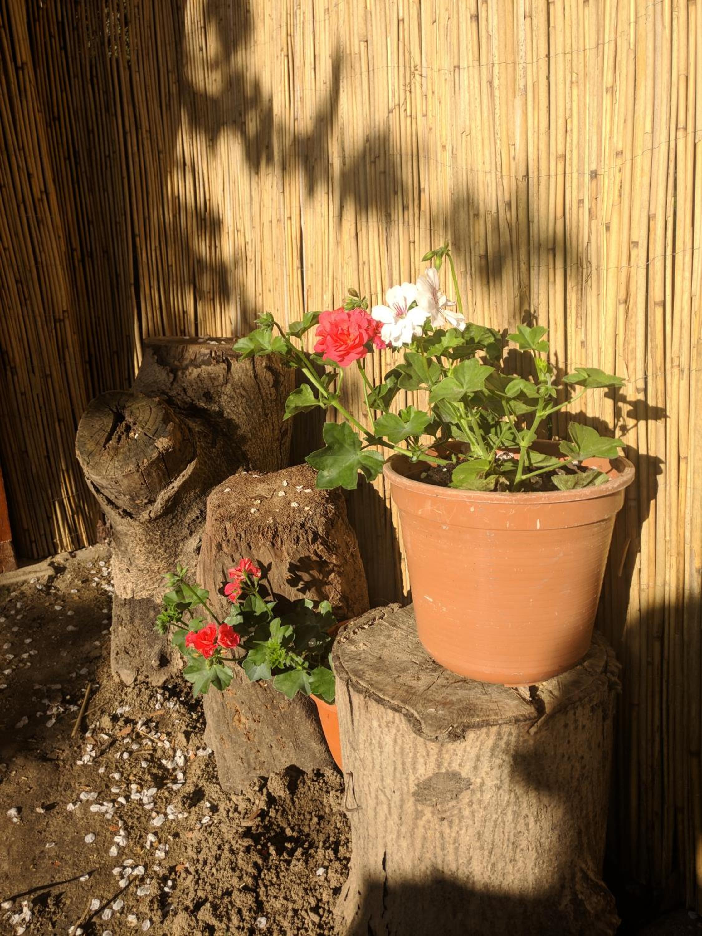 Photo 37