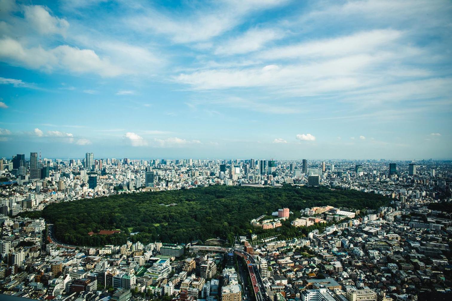 Park Hyatt Tokyo 70