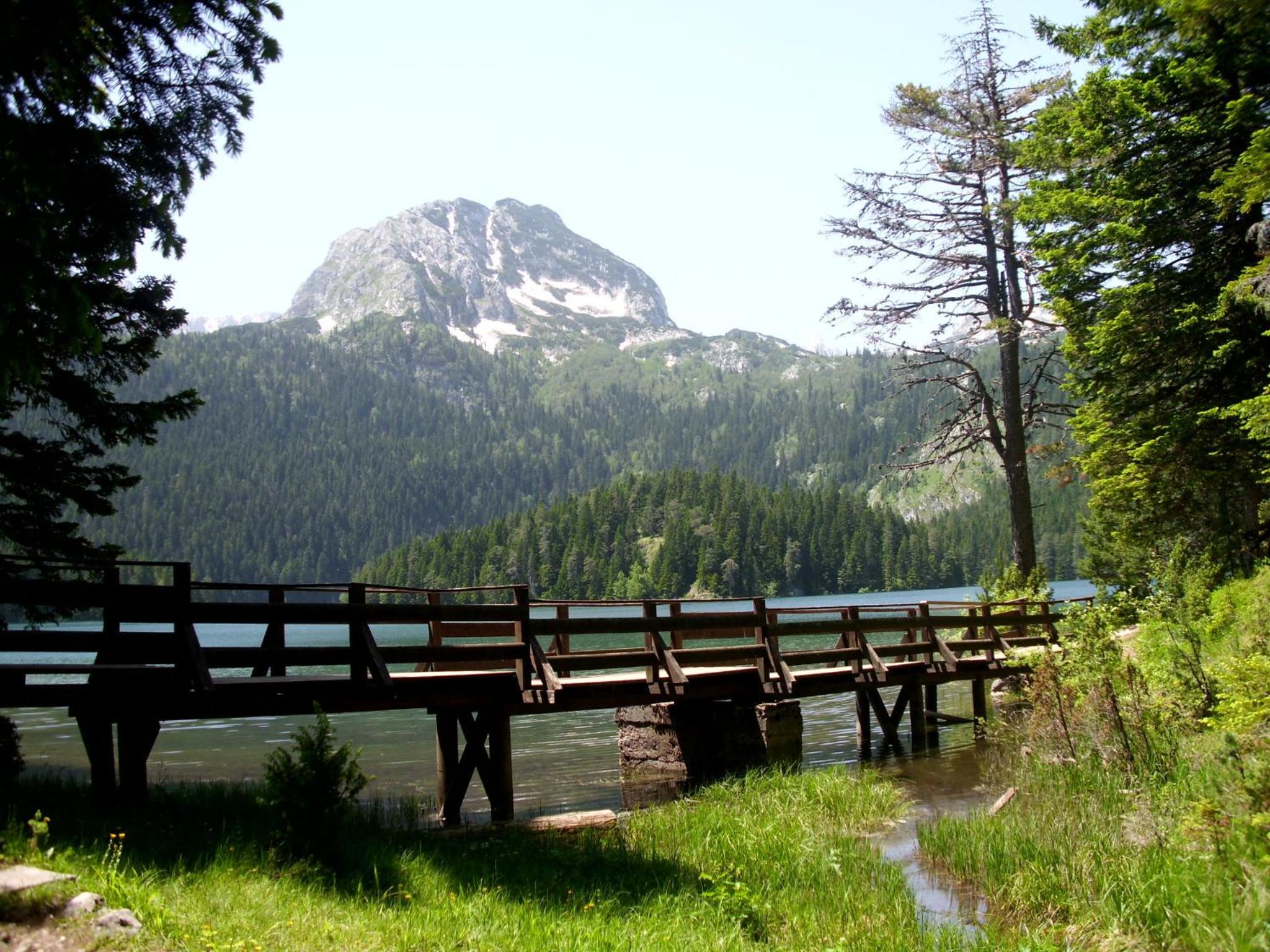Photo 20