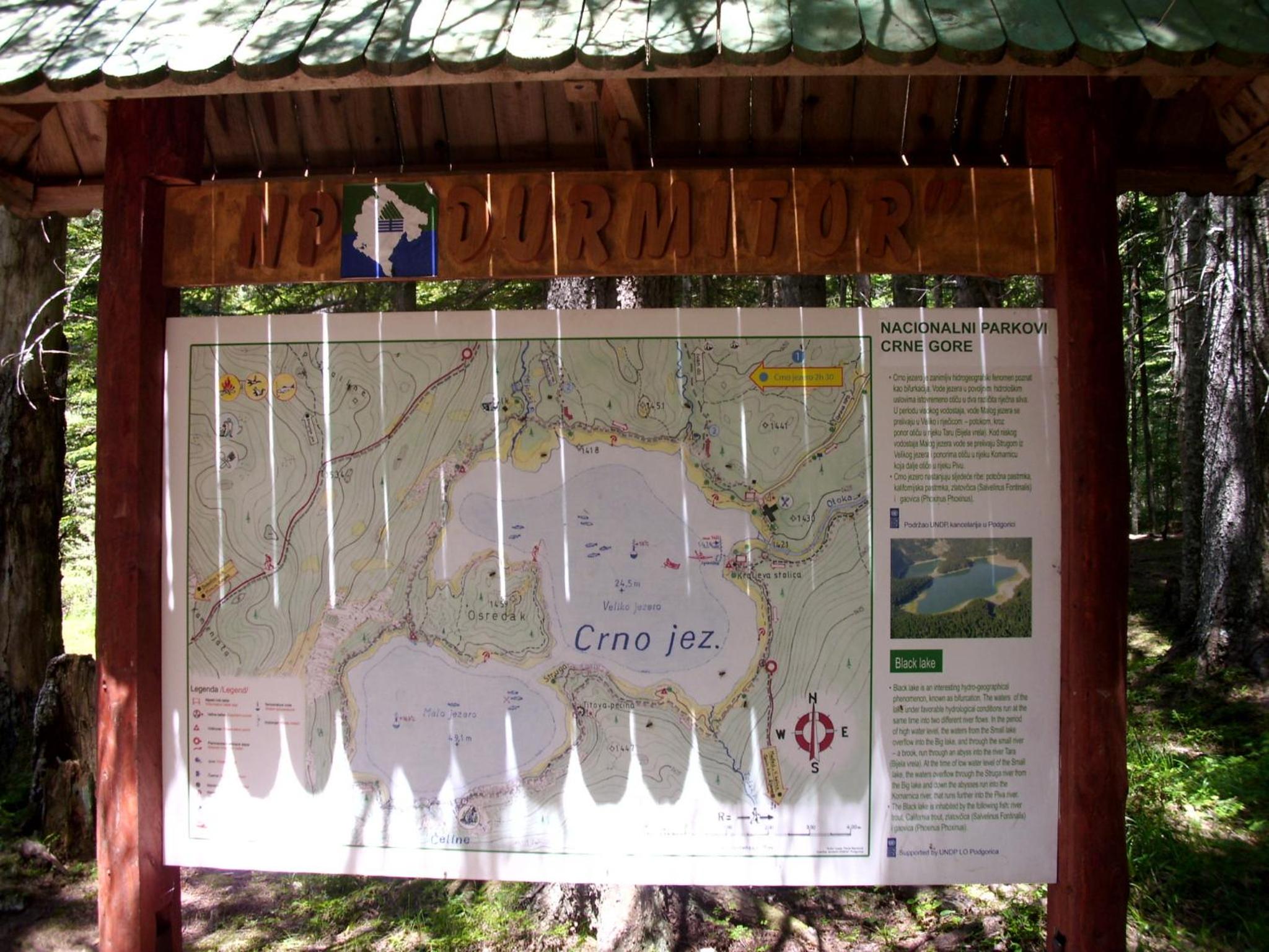 Photo 44