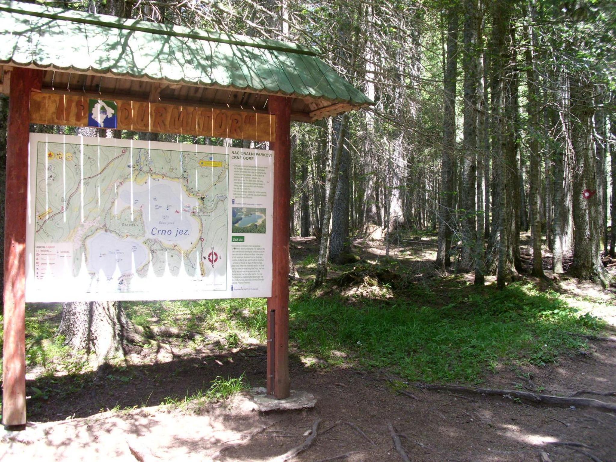 Photo 45
