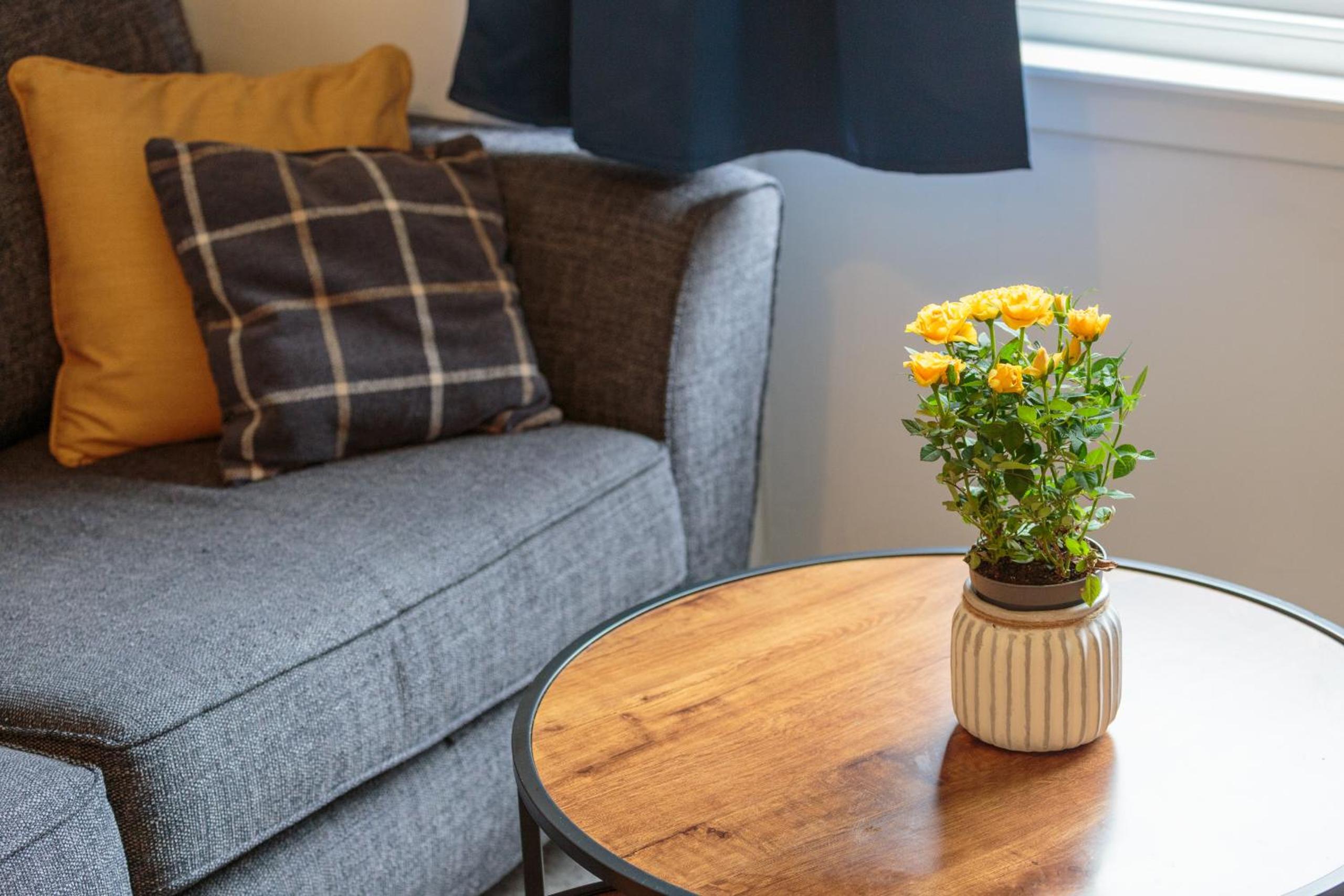 Fountain Park Apartment 1bed