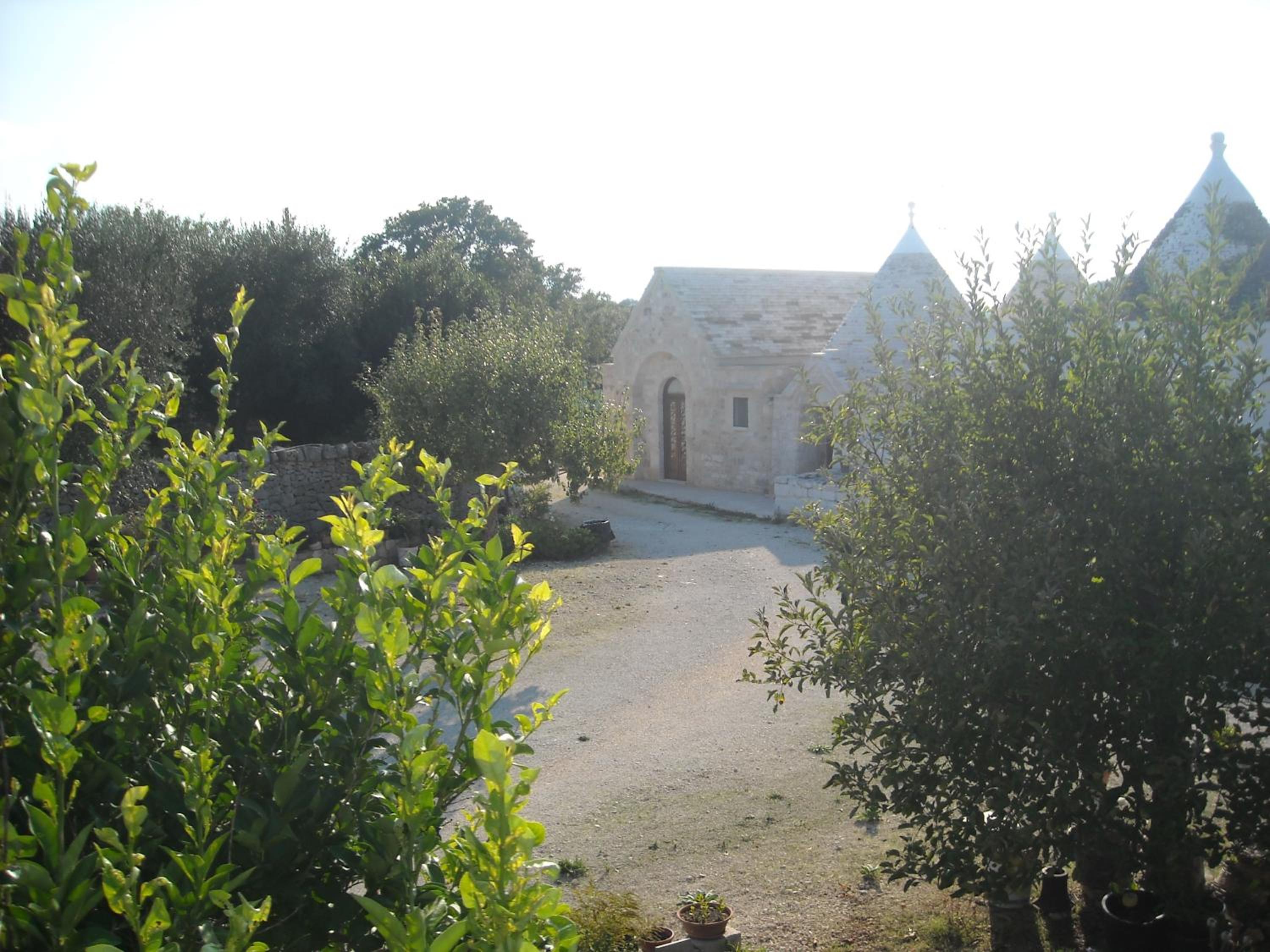 Photo 57