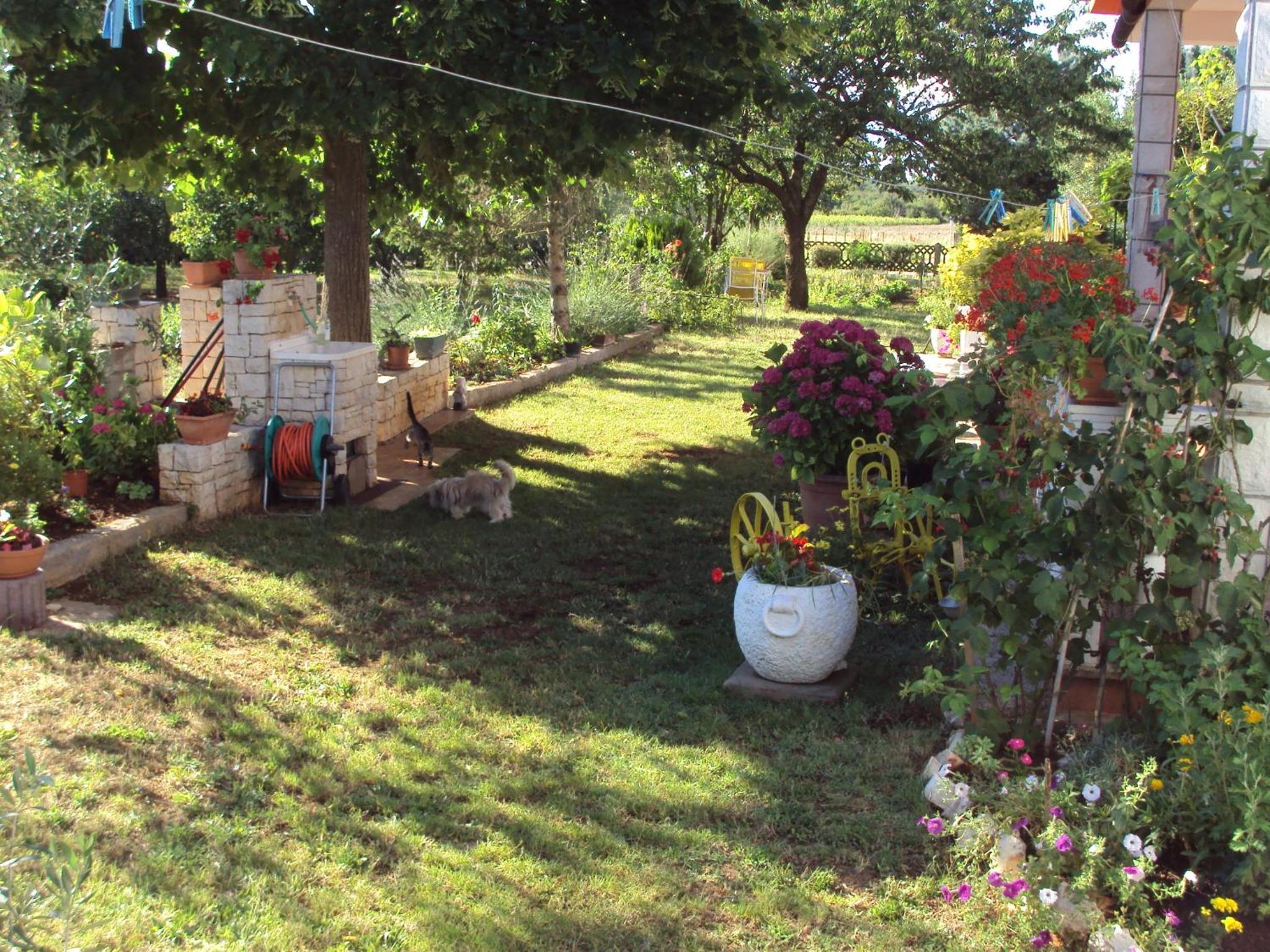 Photo 8