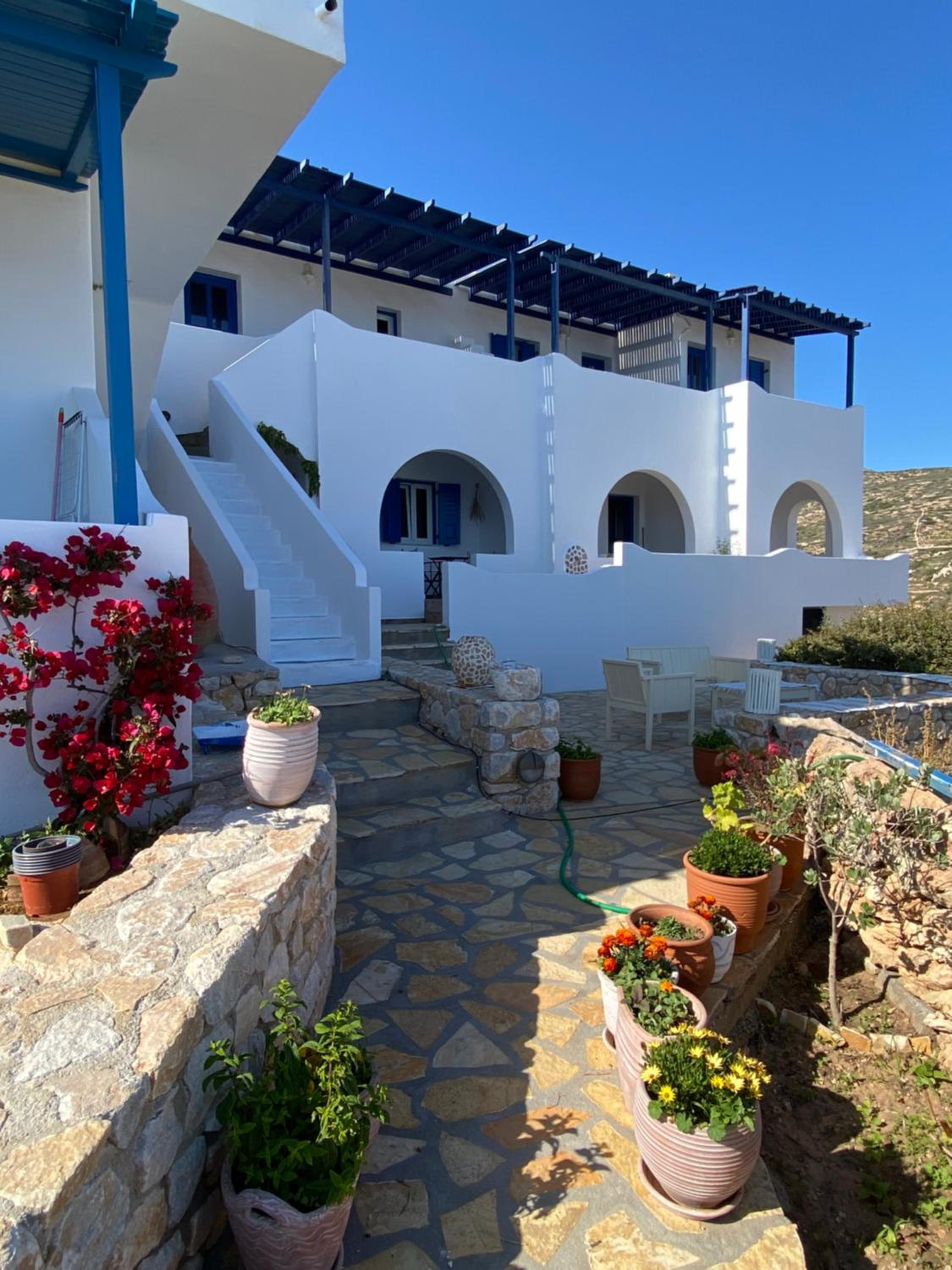 Restía