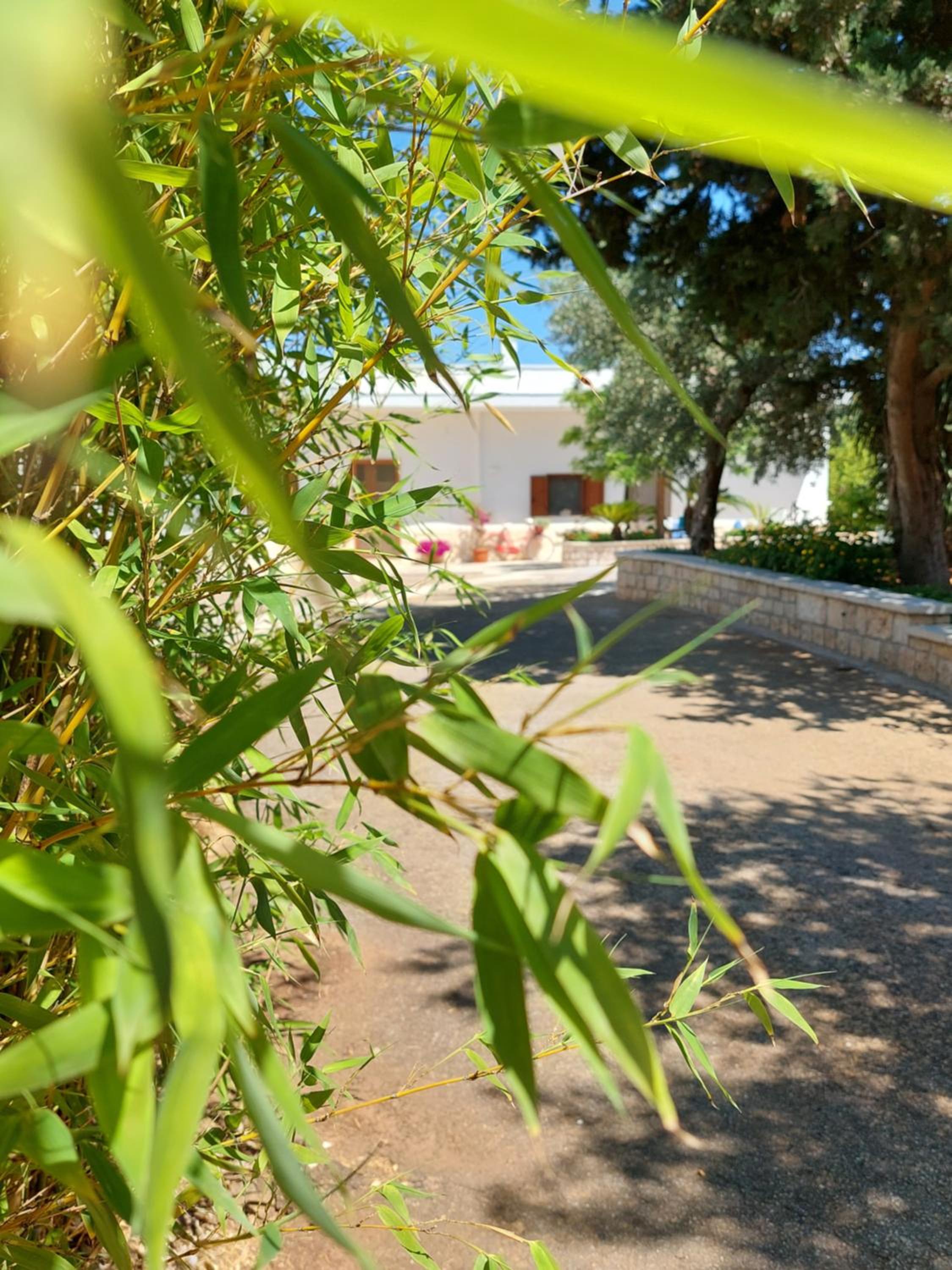 Photo 48