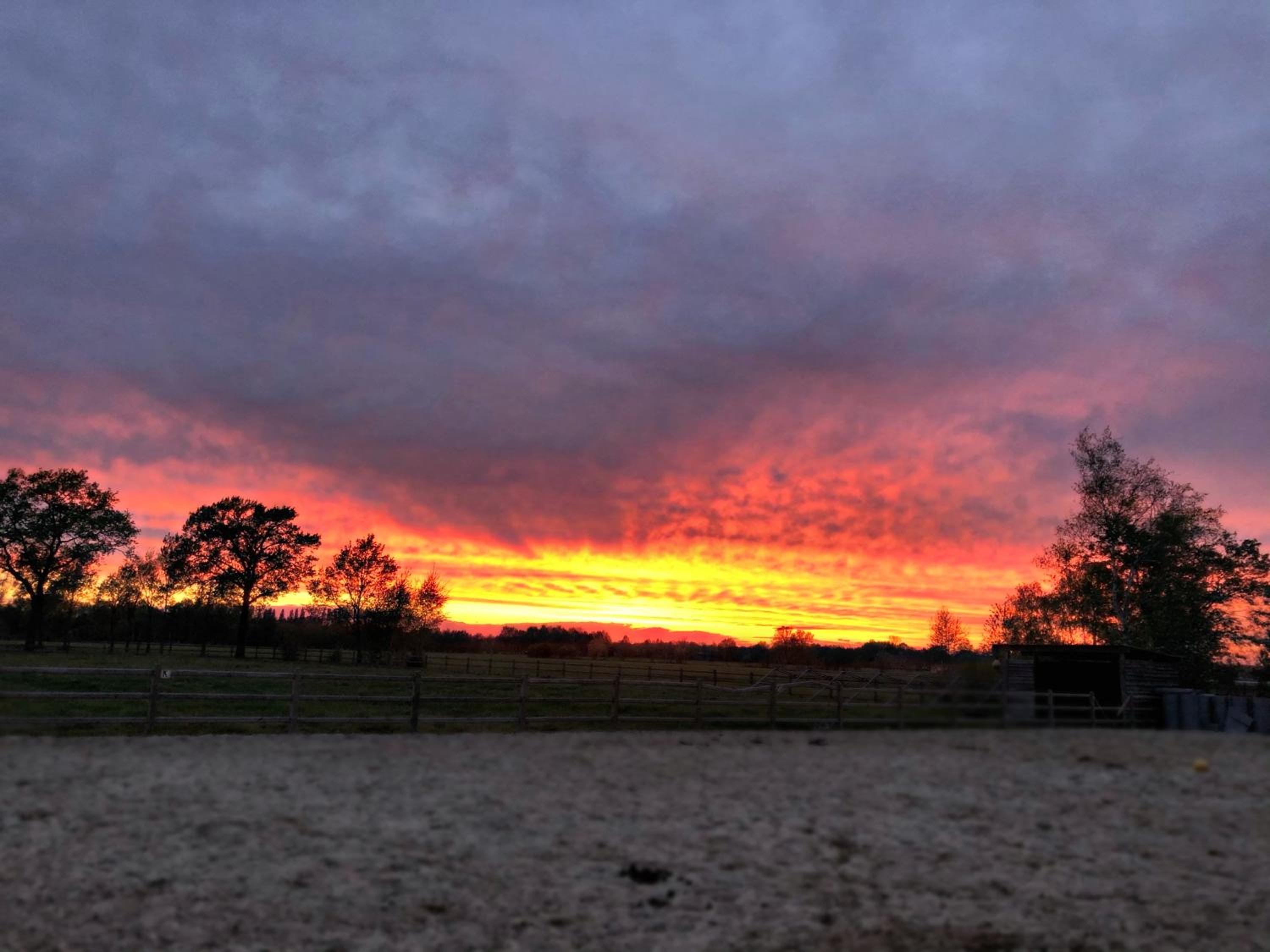 De Worfthoeve, 写真 47