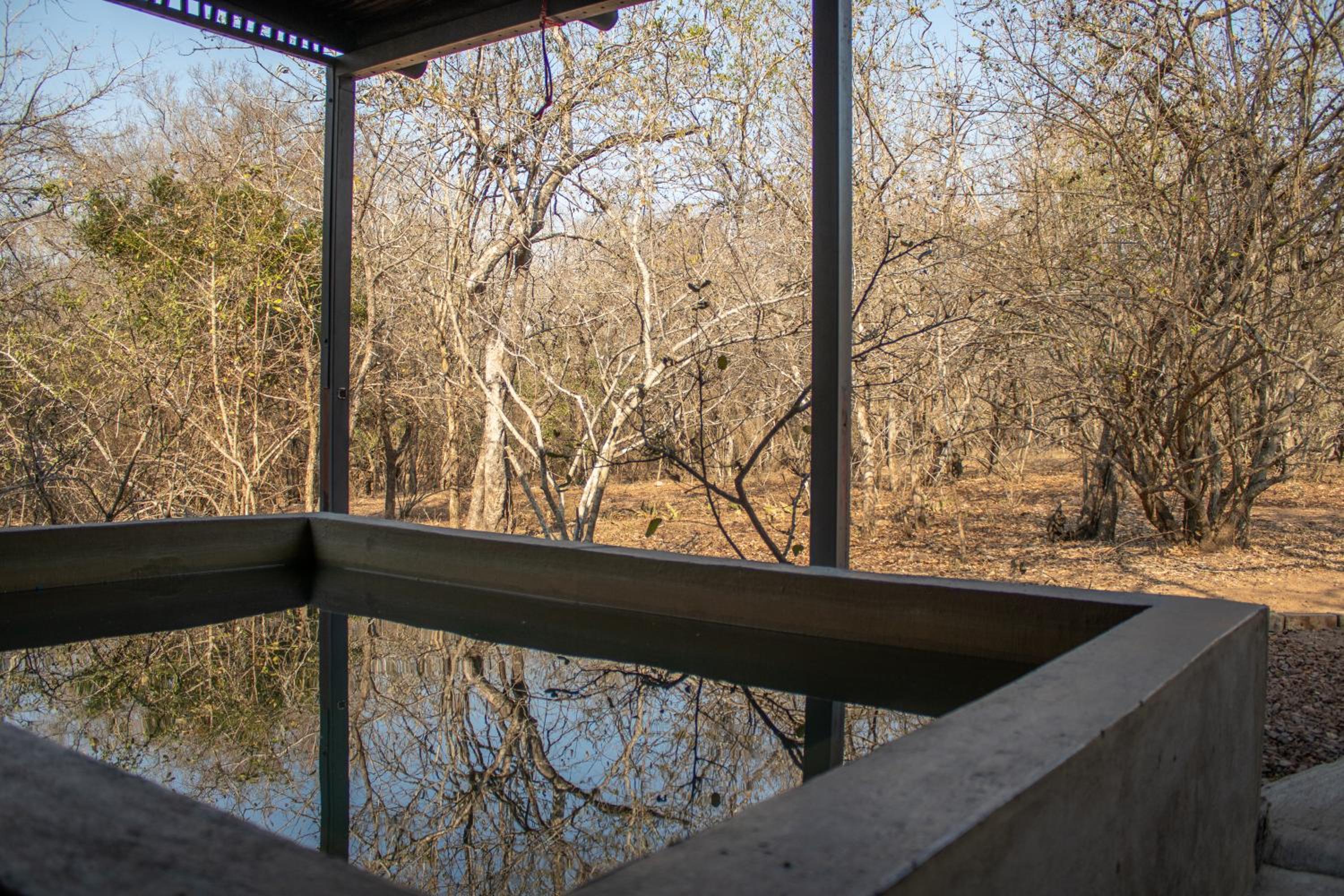 Hello Kruger Hideaway Cottage & Skilpad Studio view 2