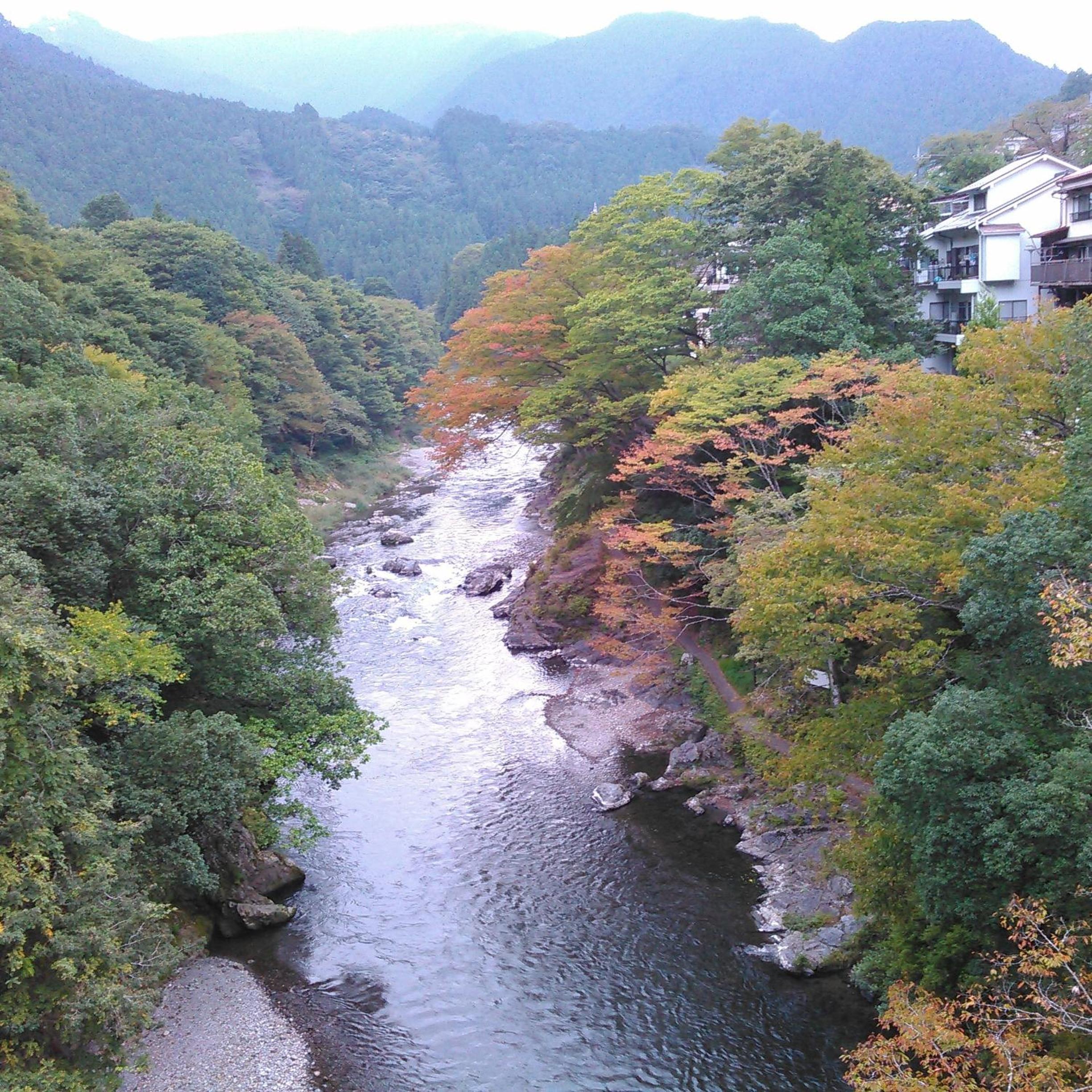 Ekimae Yamagoya A-yard