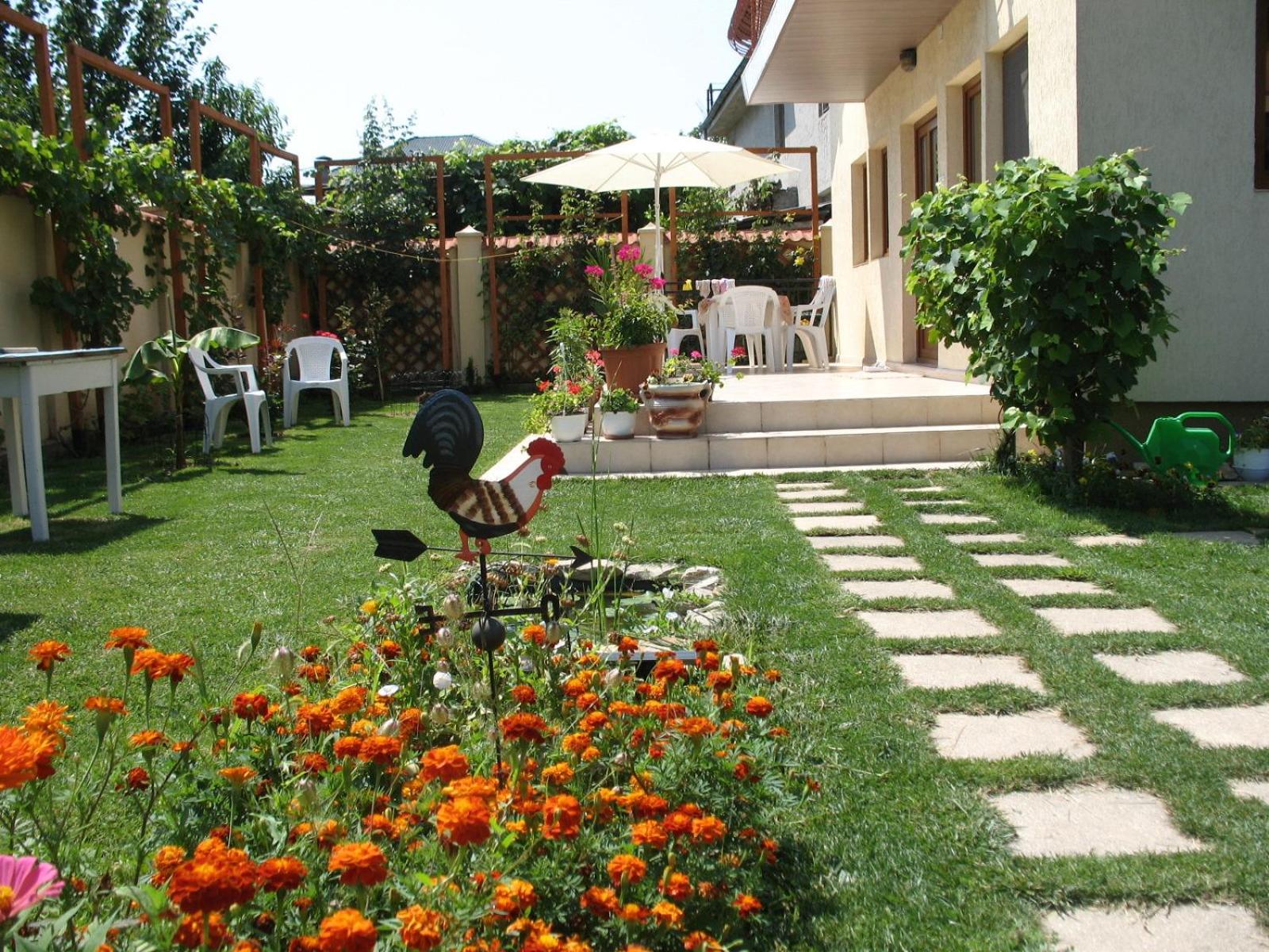 Photo 7