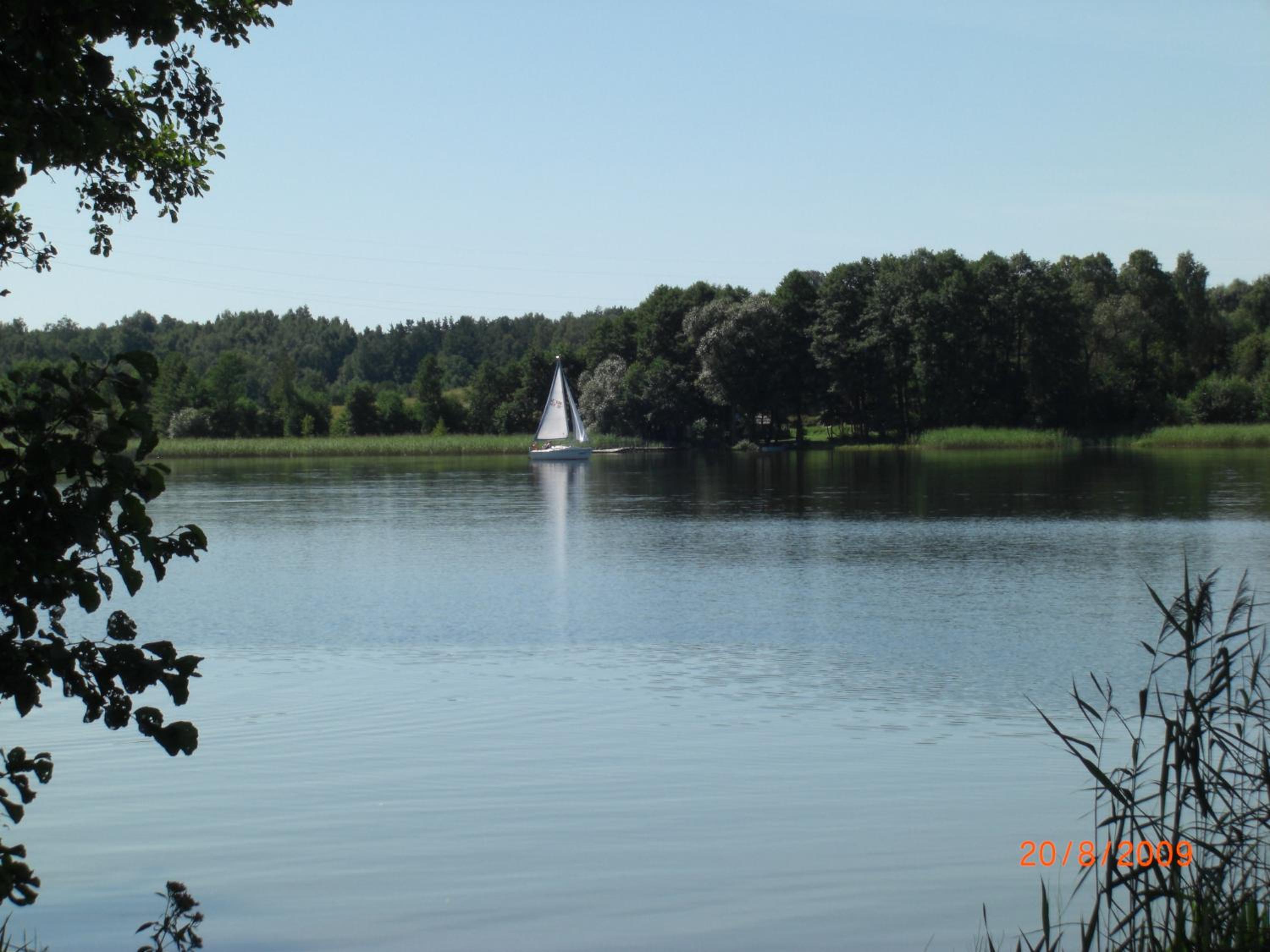 Photo 46