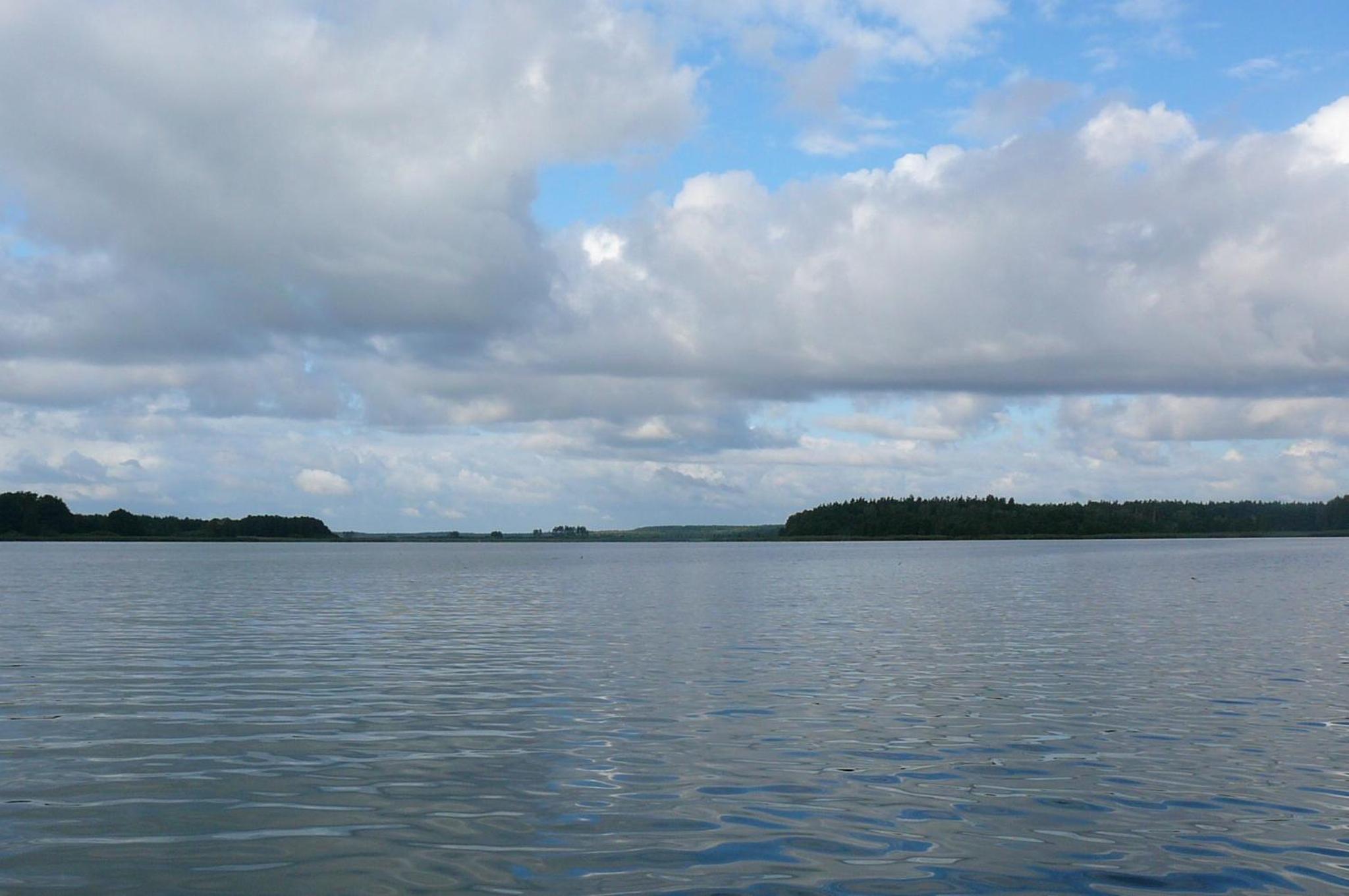 Photo 45