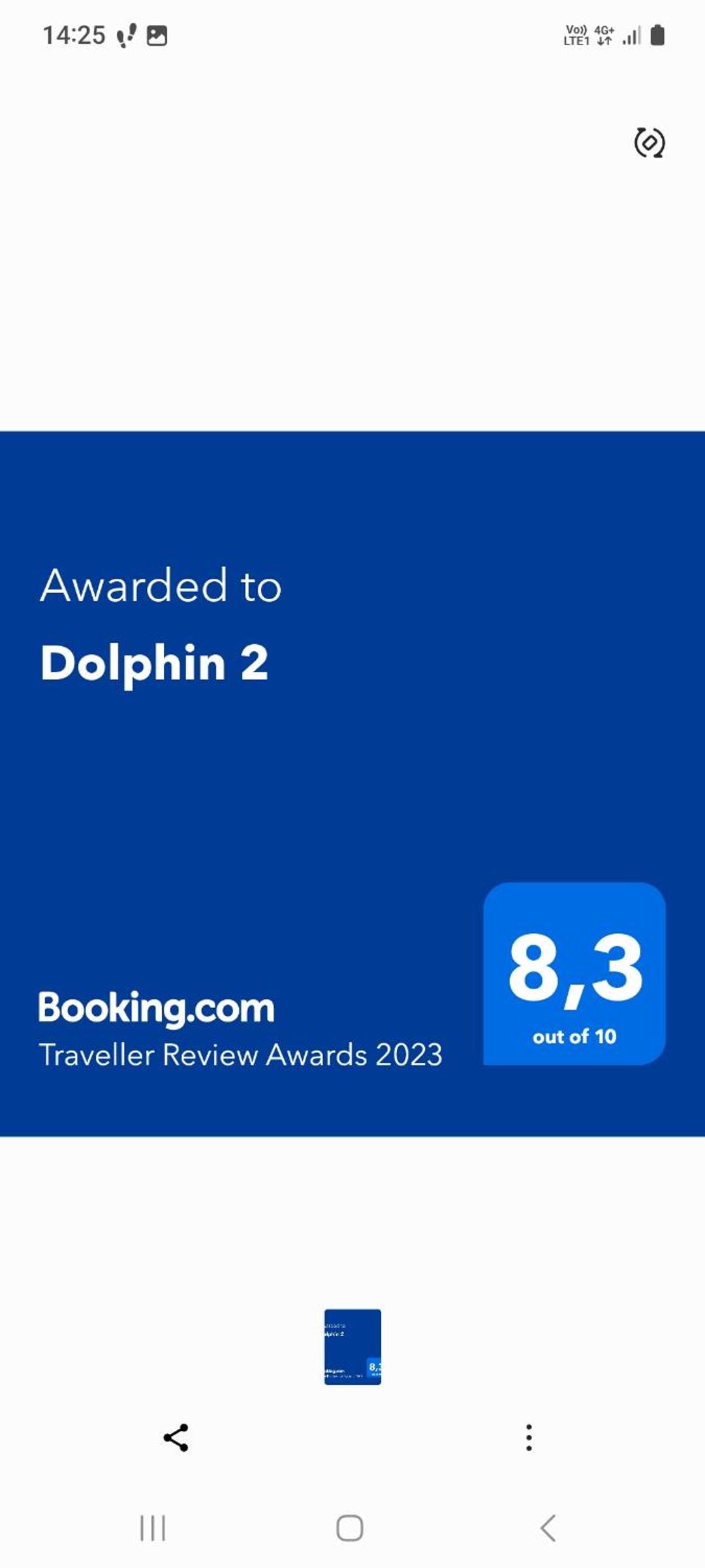 Dolphin 2 photo 2