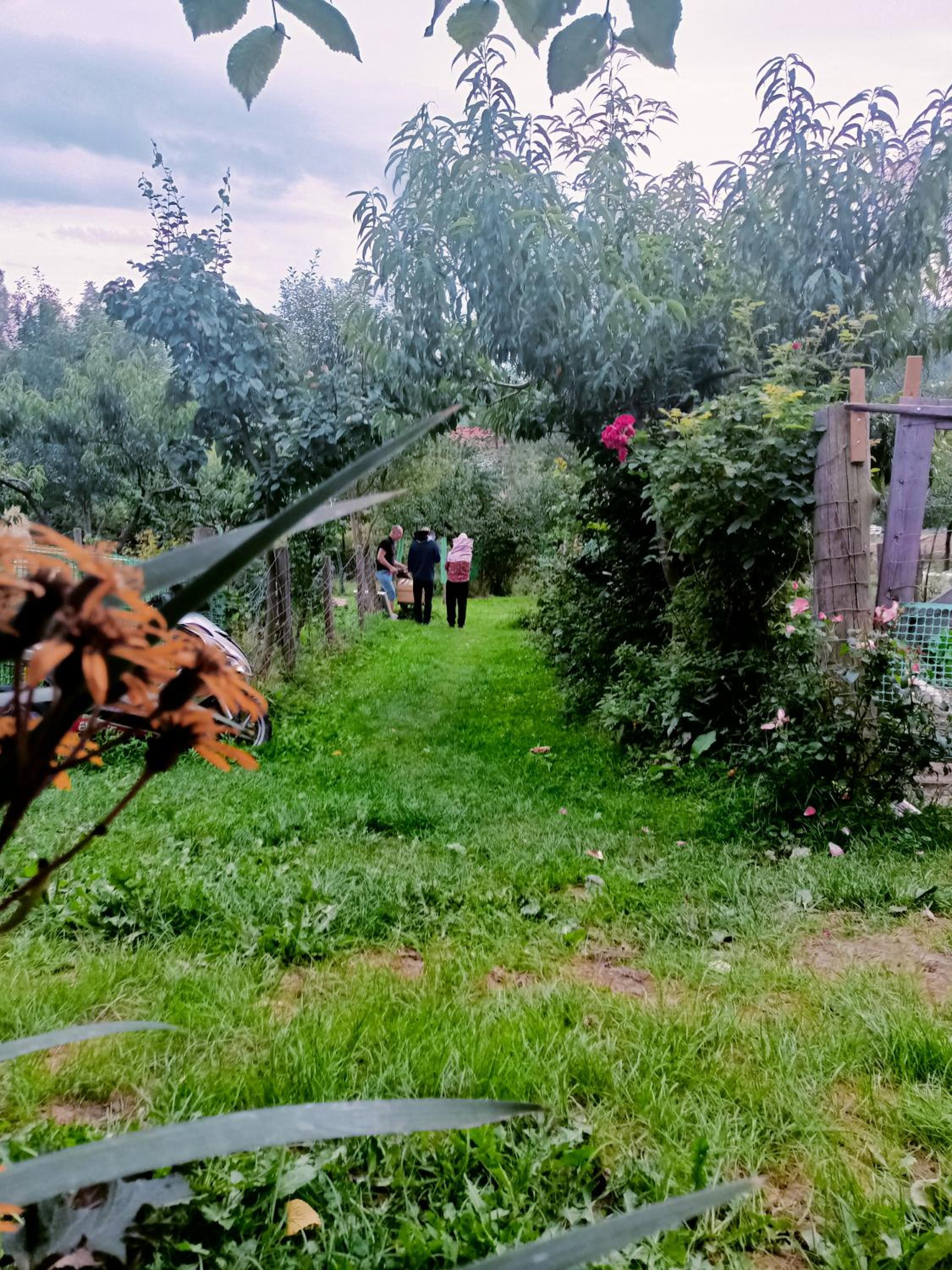 Photo 15
