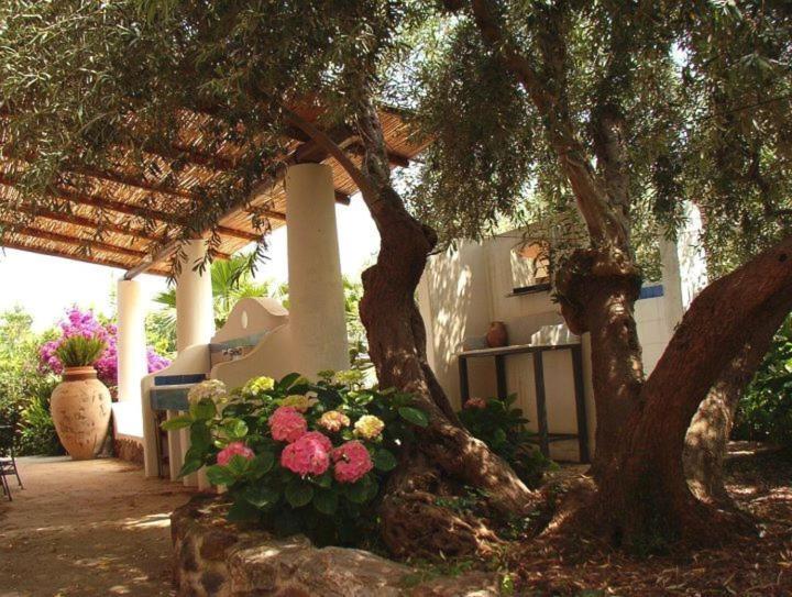 Photo 50