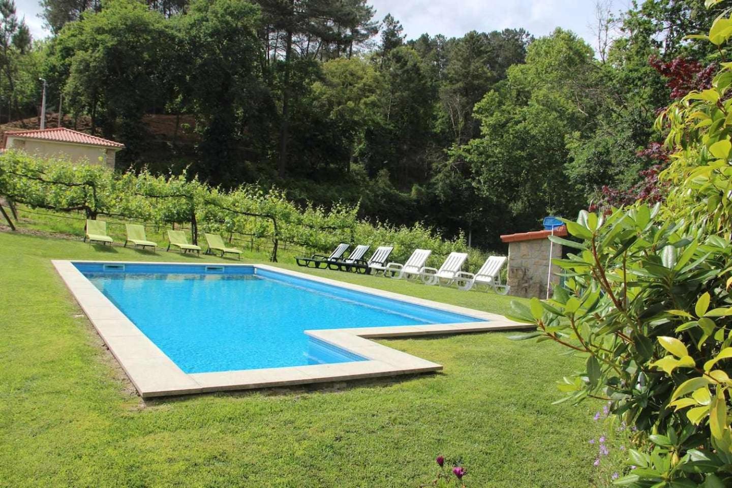Casa da Boavista Camélias de BastoTurismo Rural