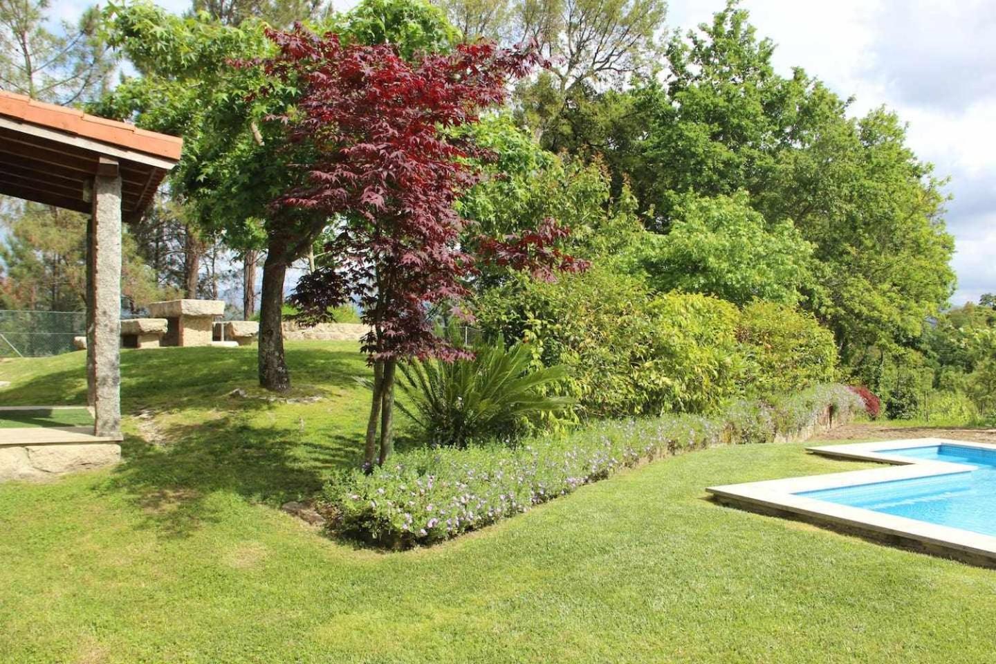 Casa da Boavista Camélias de BastoTurismo Rural