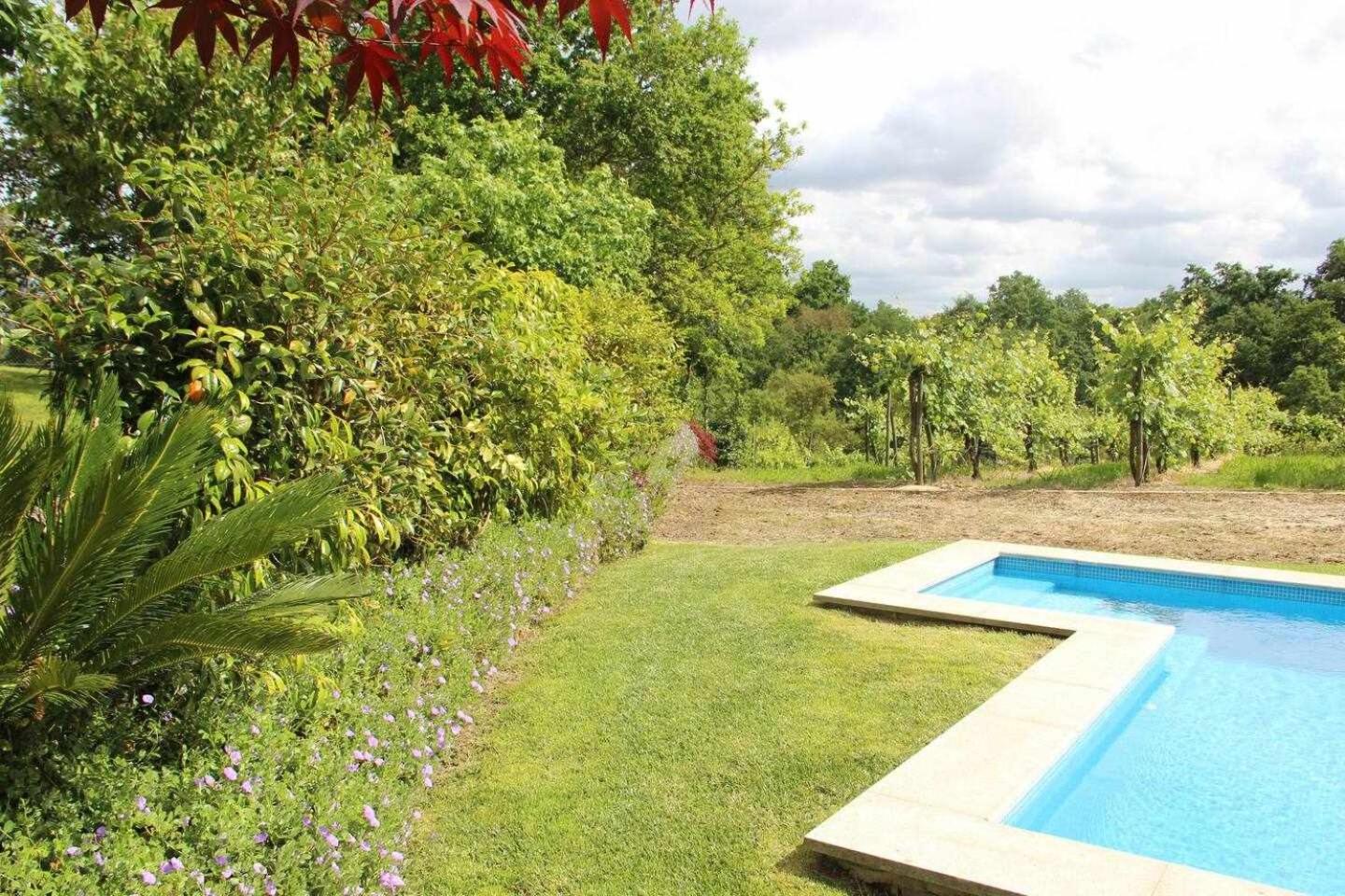 Casa da Boavista Camélias de BastoTurismo Rural view 4
