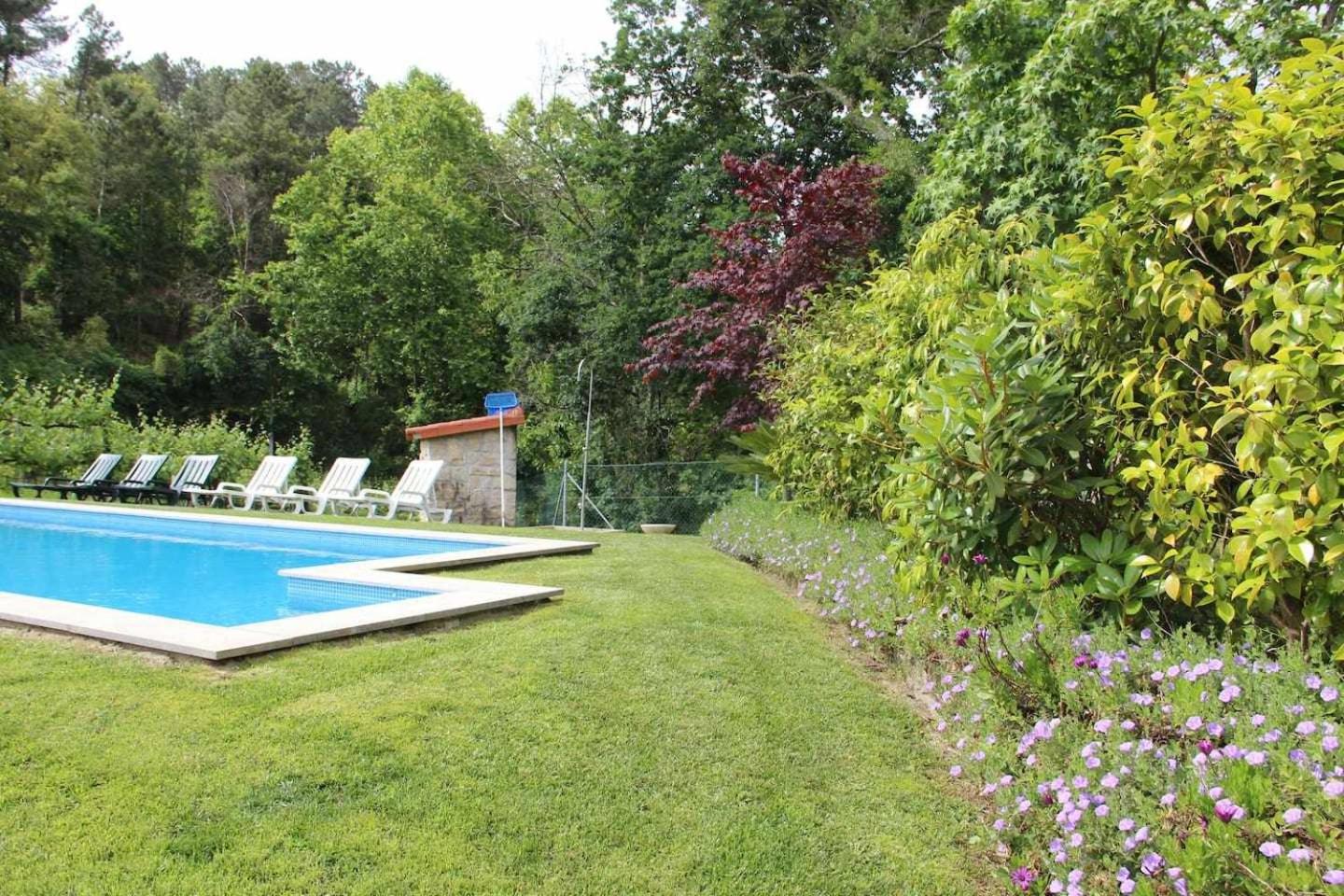 Casa da Boavista Camélias de BastoTurismo Rural view 5
