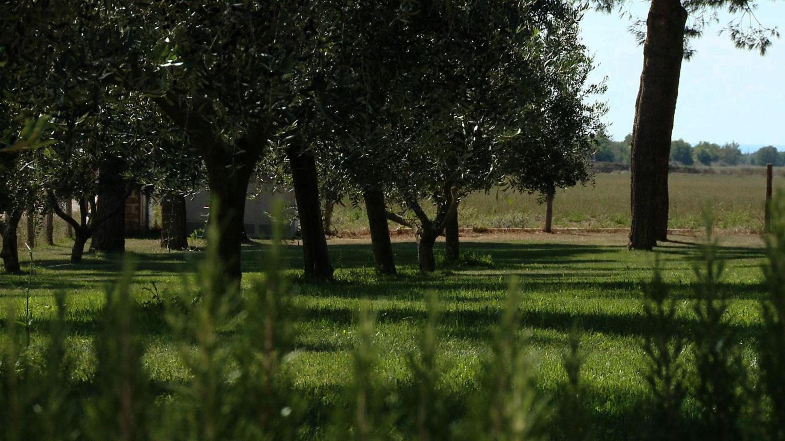 Agriturismo Piani Della Marina