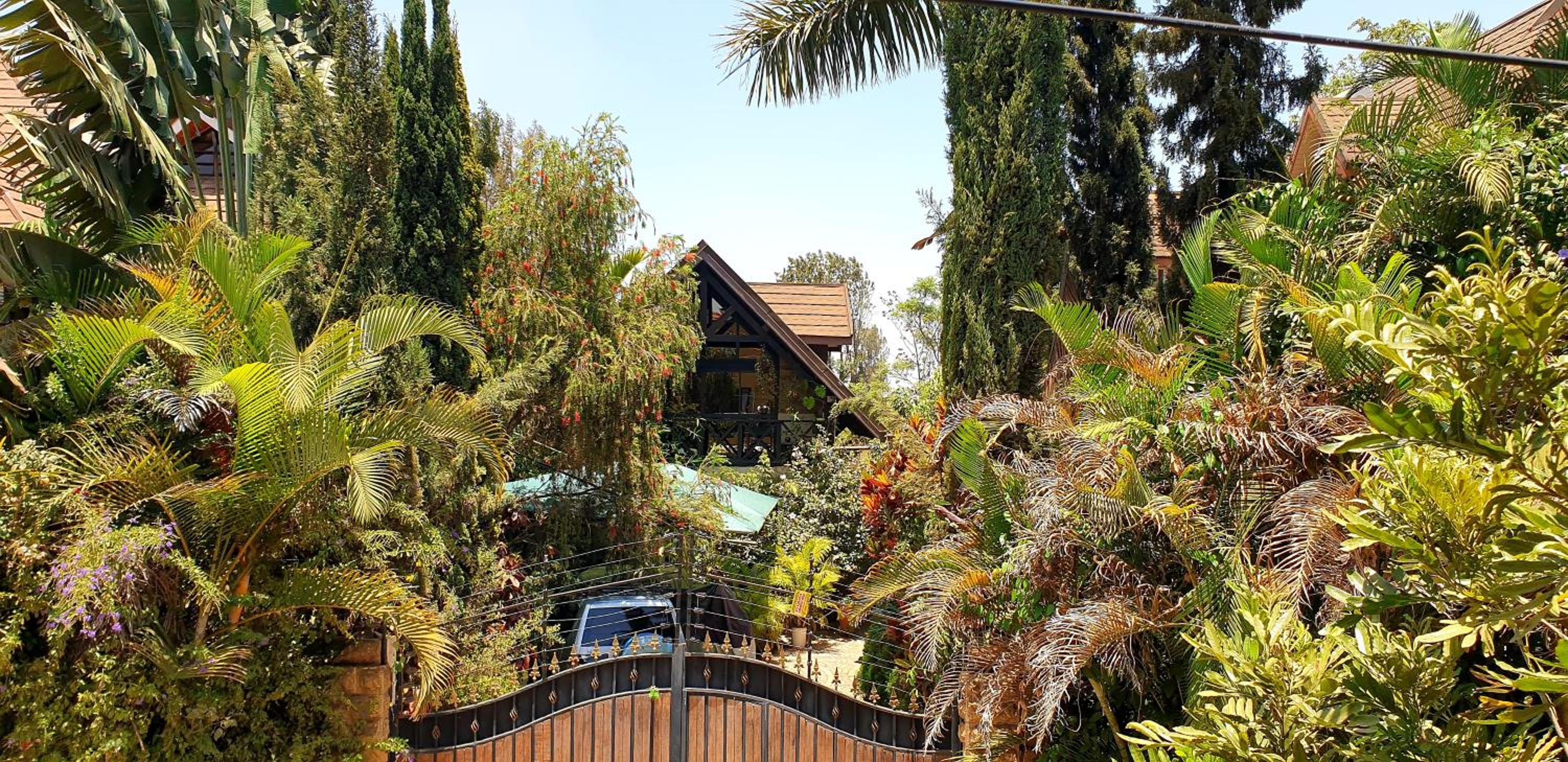 The Annex at 64 : Cozy, rustic cottage/treehouse view 4