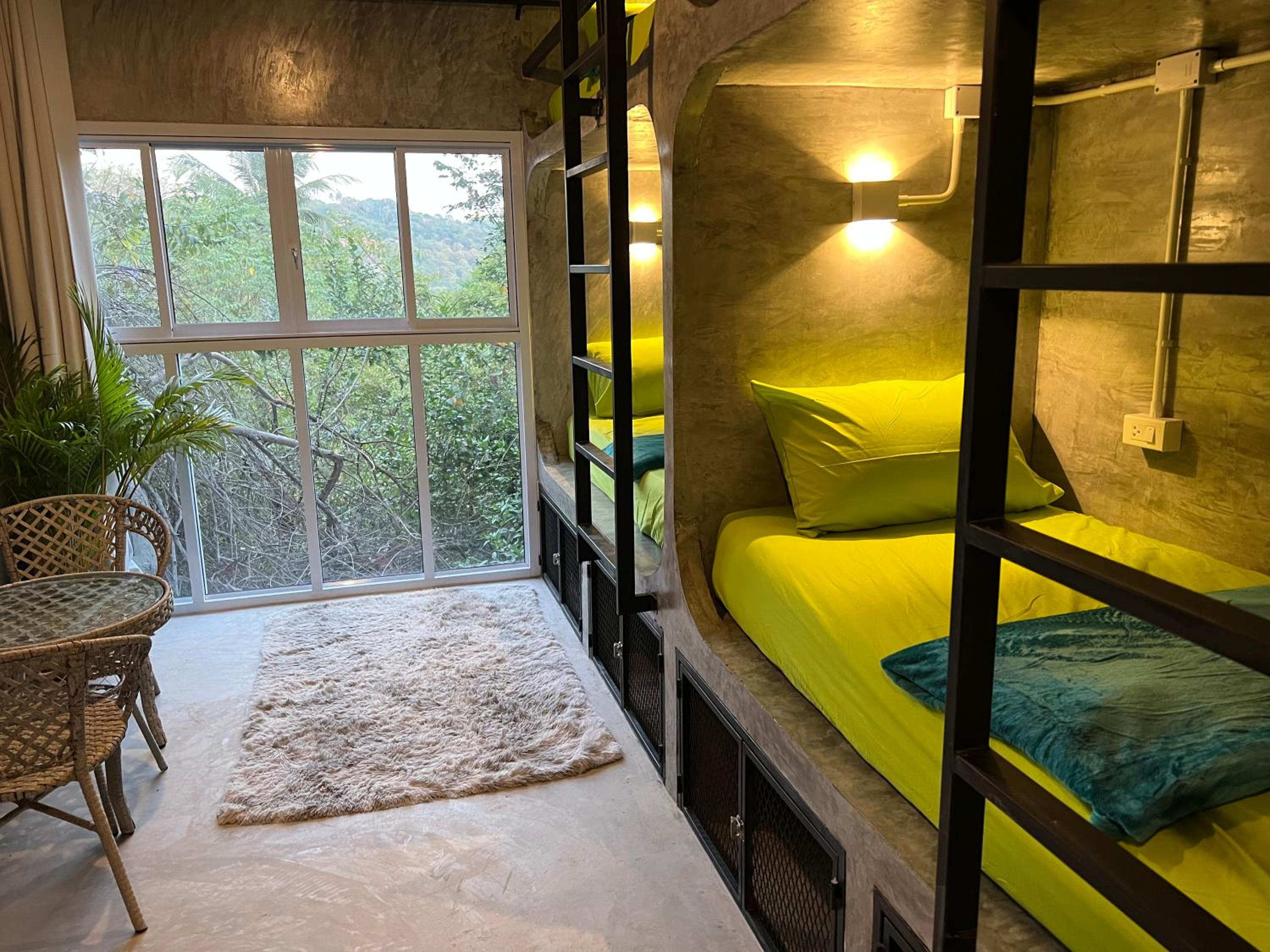 Wonderland Jungle Hostel