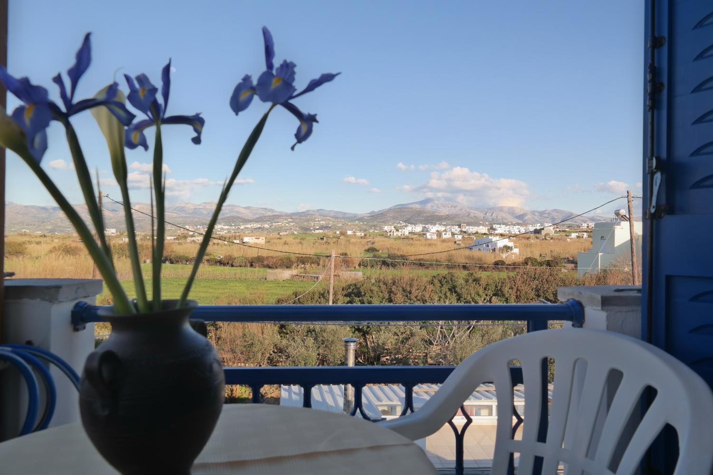 Mina's Studios in Naxos Island