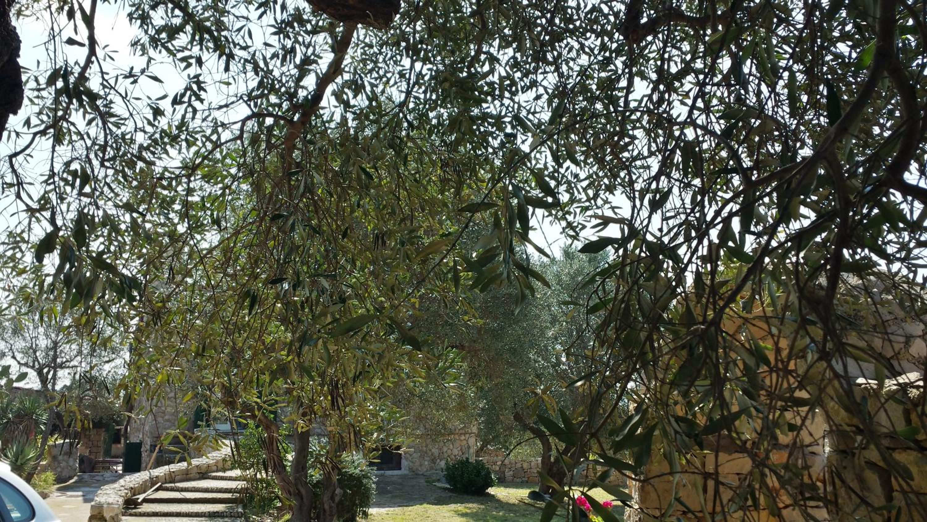 Villa Minteco