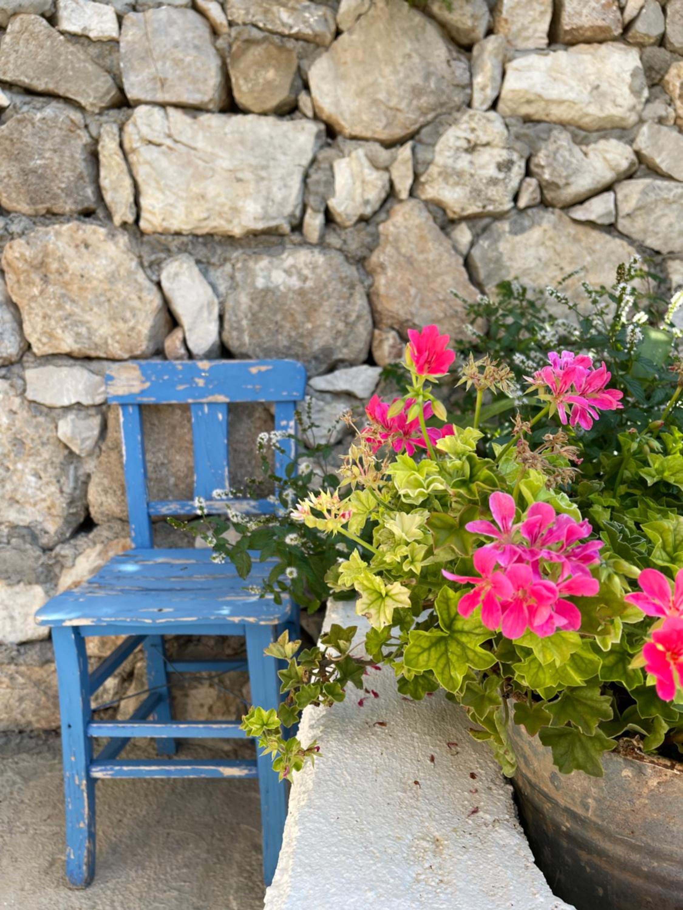 Suleymans Garden