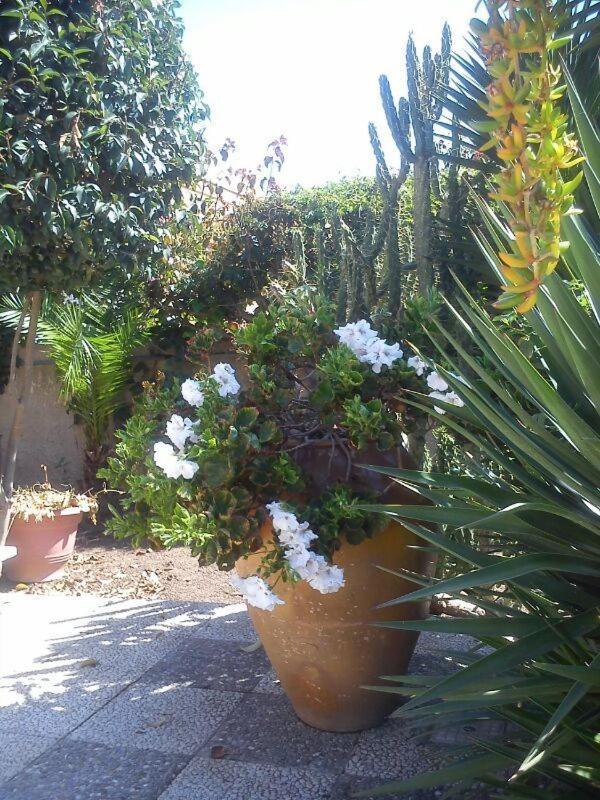 Photo 39
