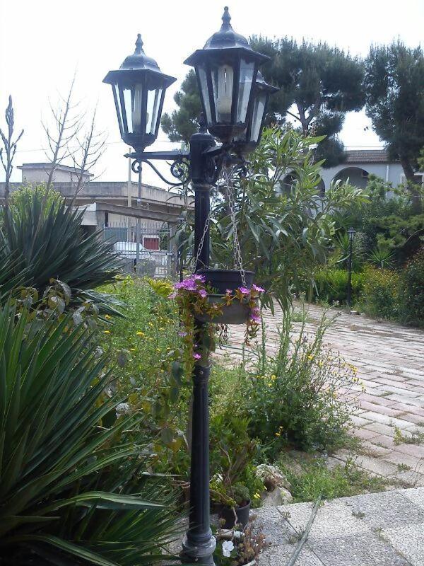 Photo 40