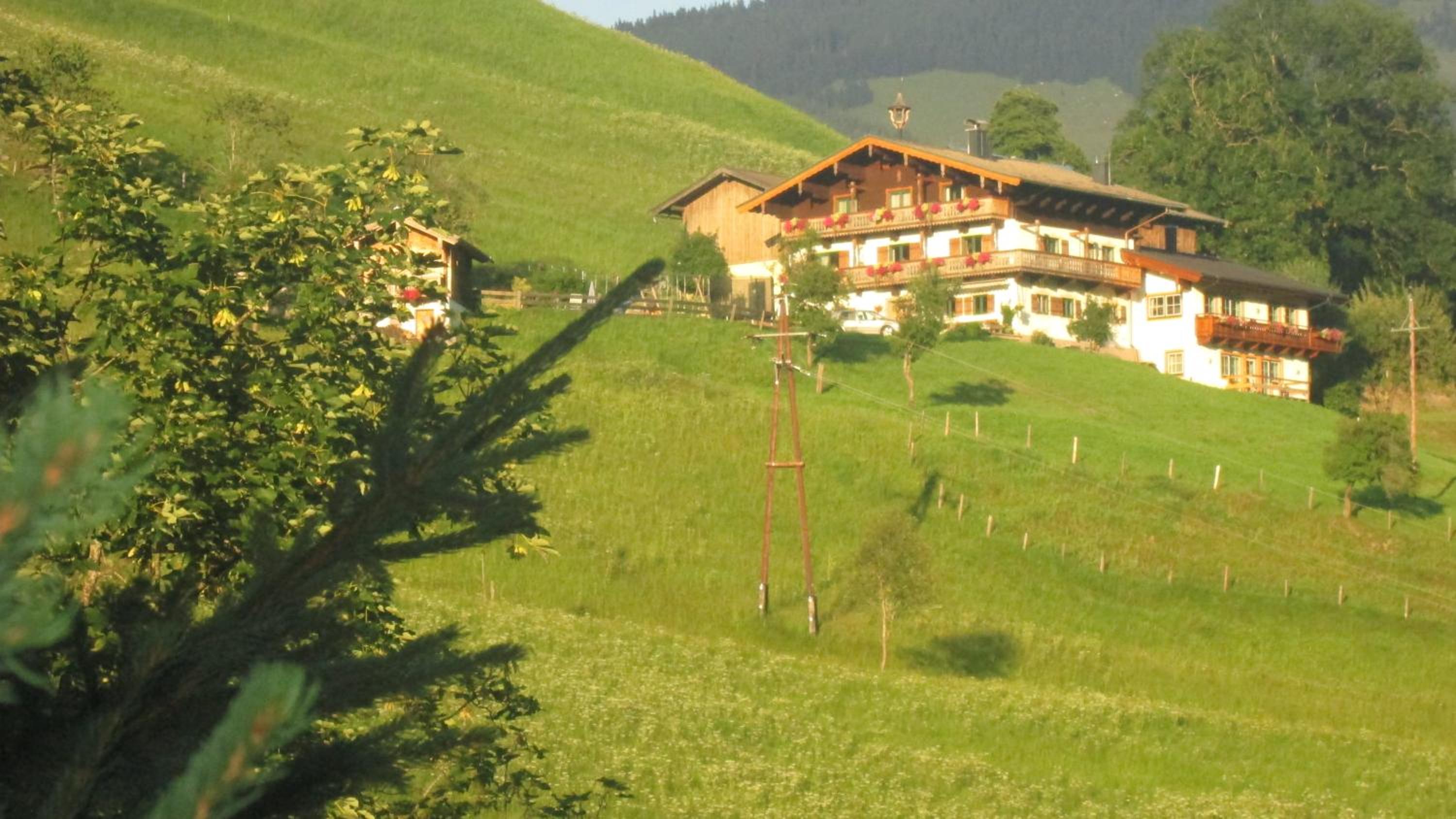 Viehhofbauer