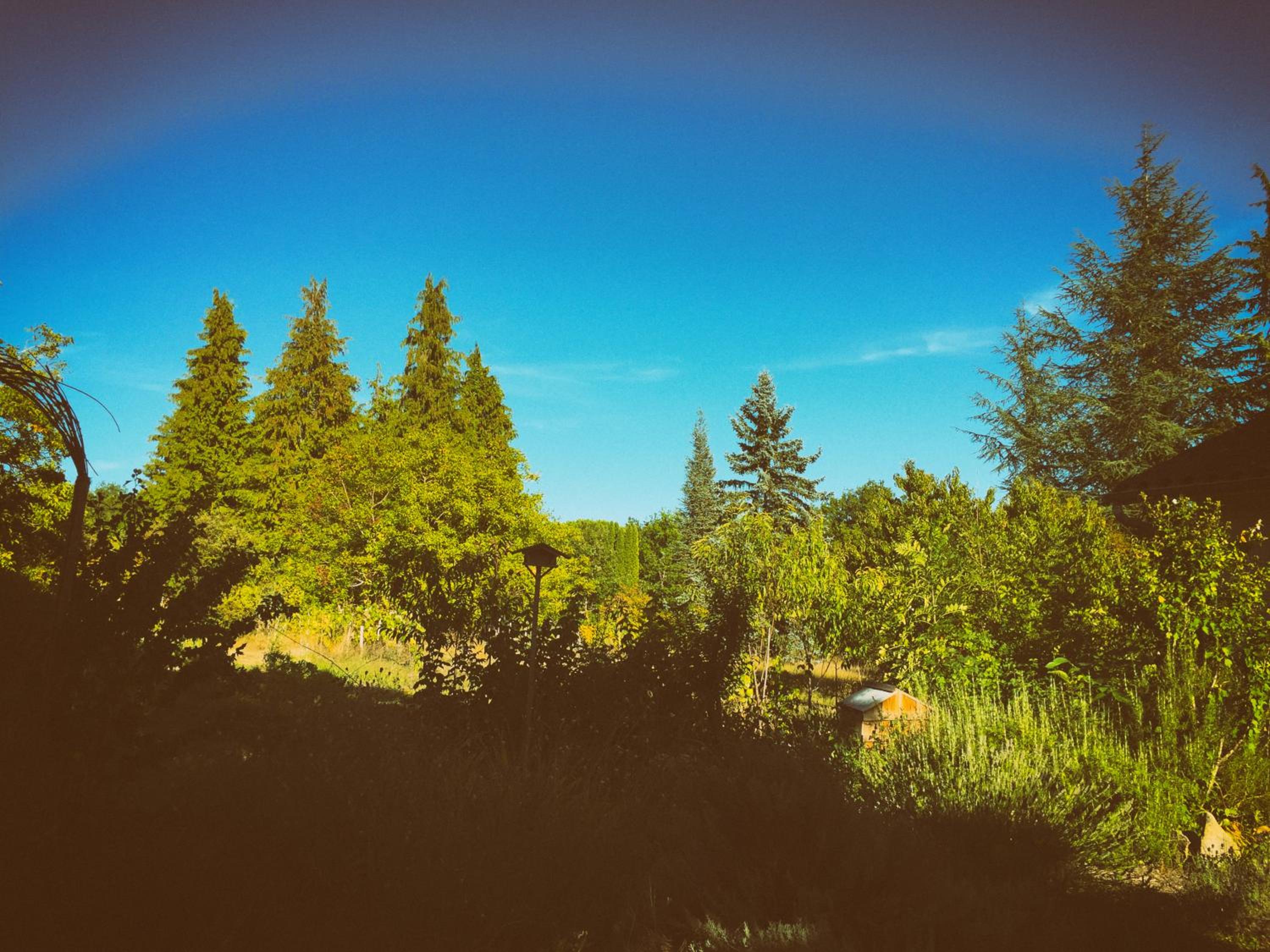 La Montagne Sud