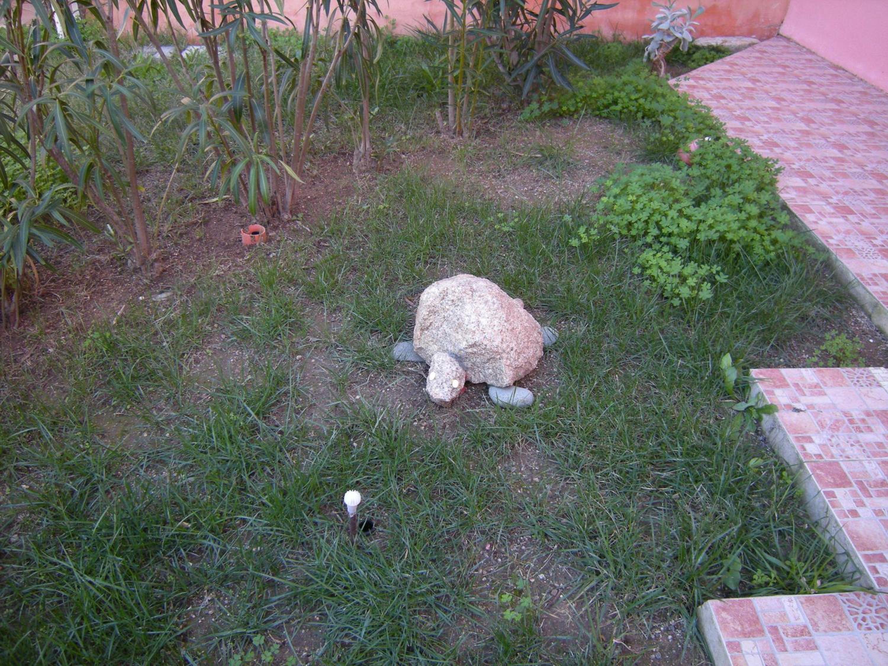Photo 53