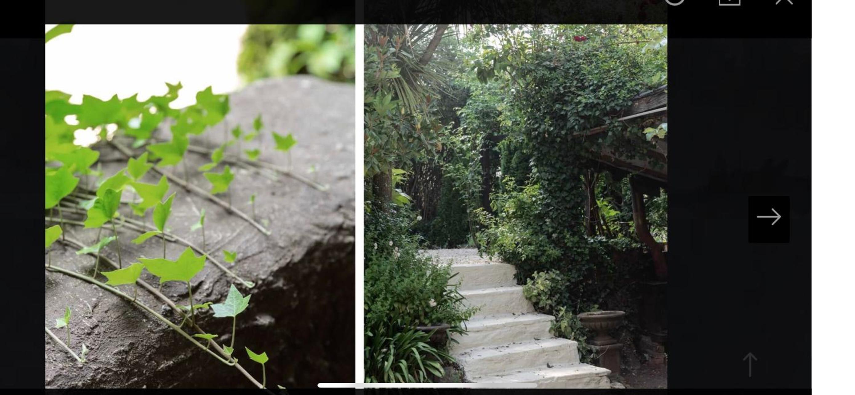 Oliver's Garden House